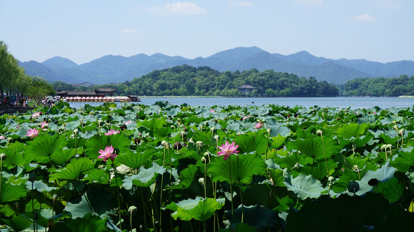Sony a6000 sample photo. West lake, hangzhou, china photography