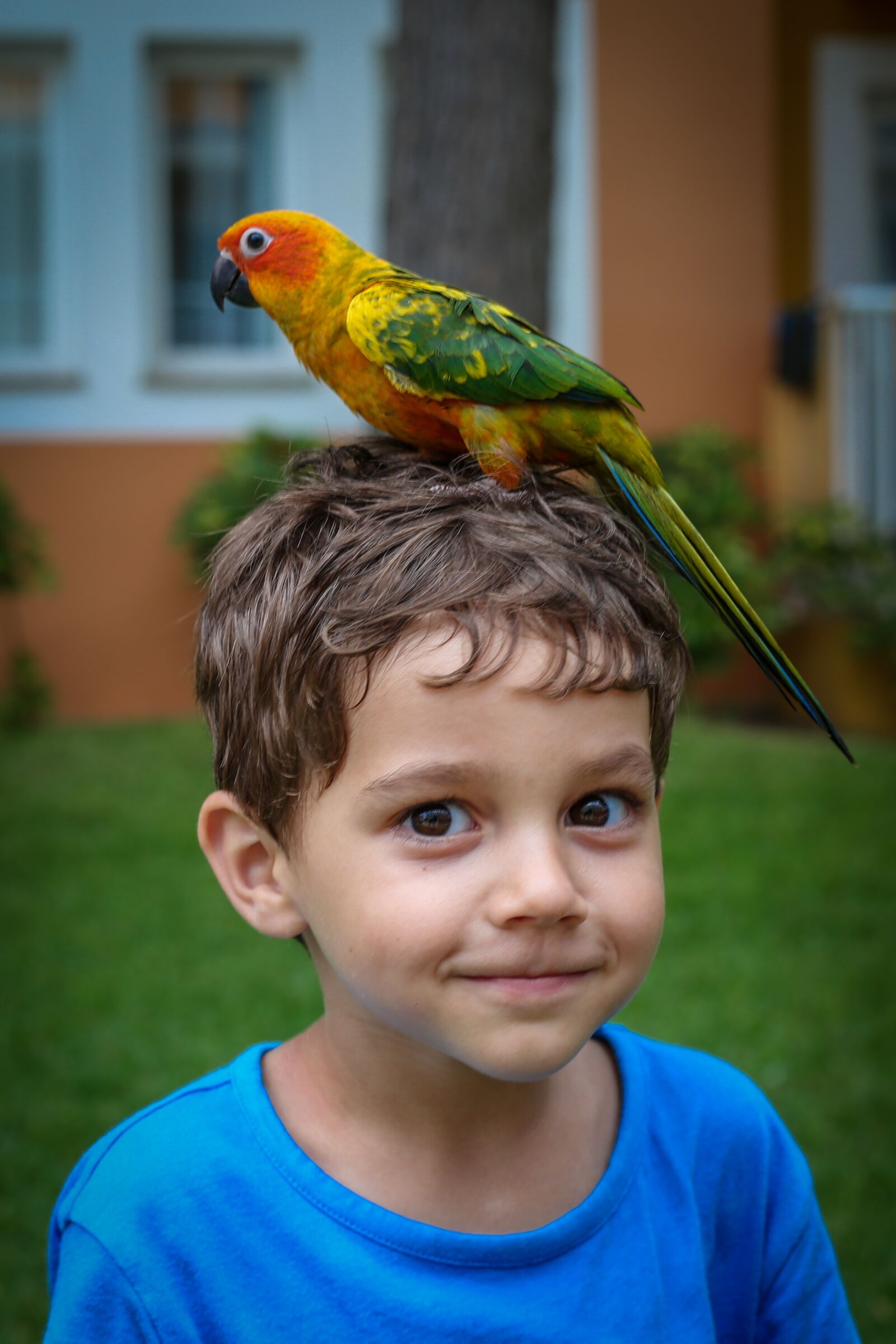 Canon EF 50mm F1.8 II sample photo. Parrot, boy, majorca photography