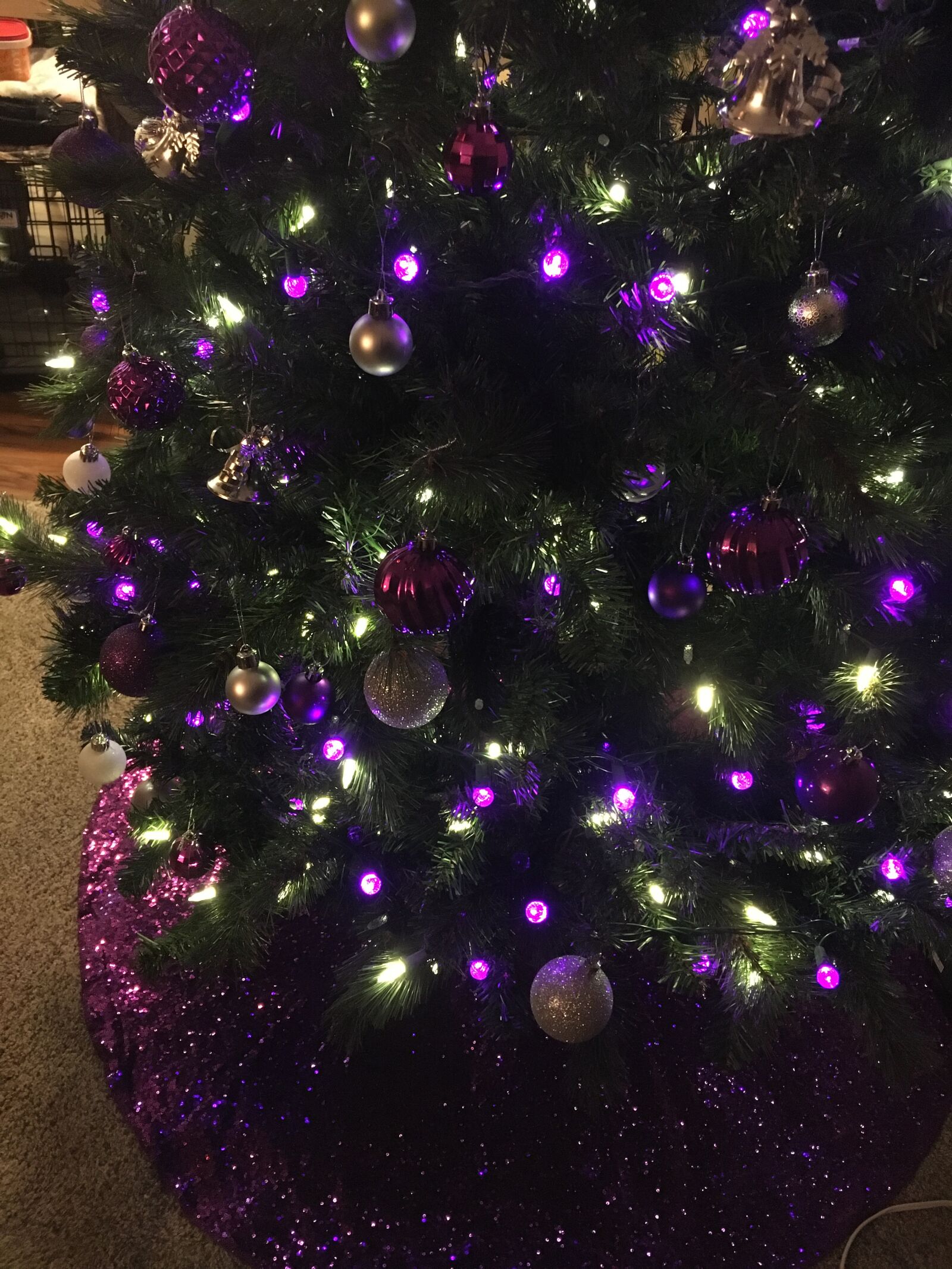 iPhone 6s back camera 4.15mm f/2.2 sample photo. Christmas, holiday, tree photography