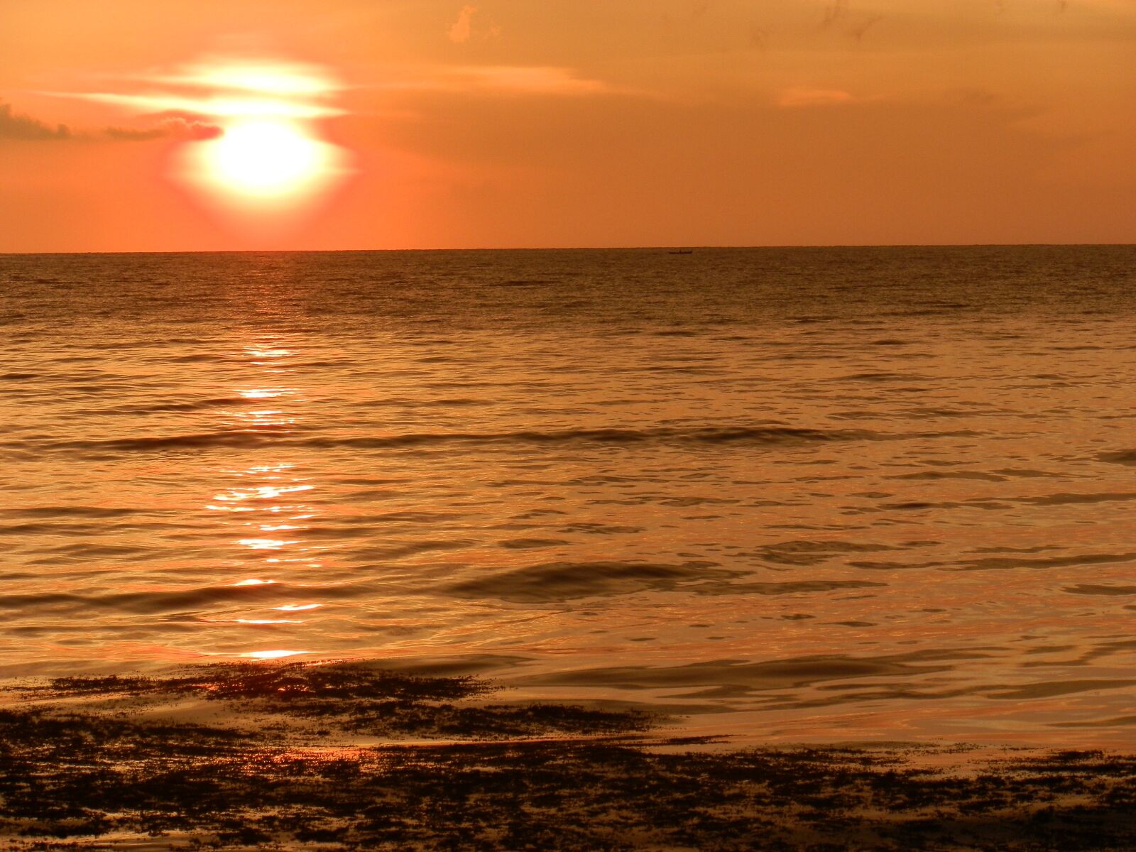 Olympus SZ-10 sample photo. Sunset, sun, beach photography