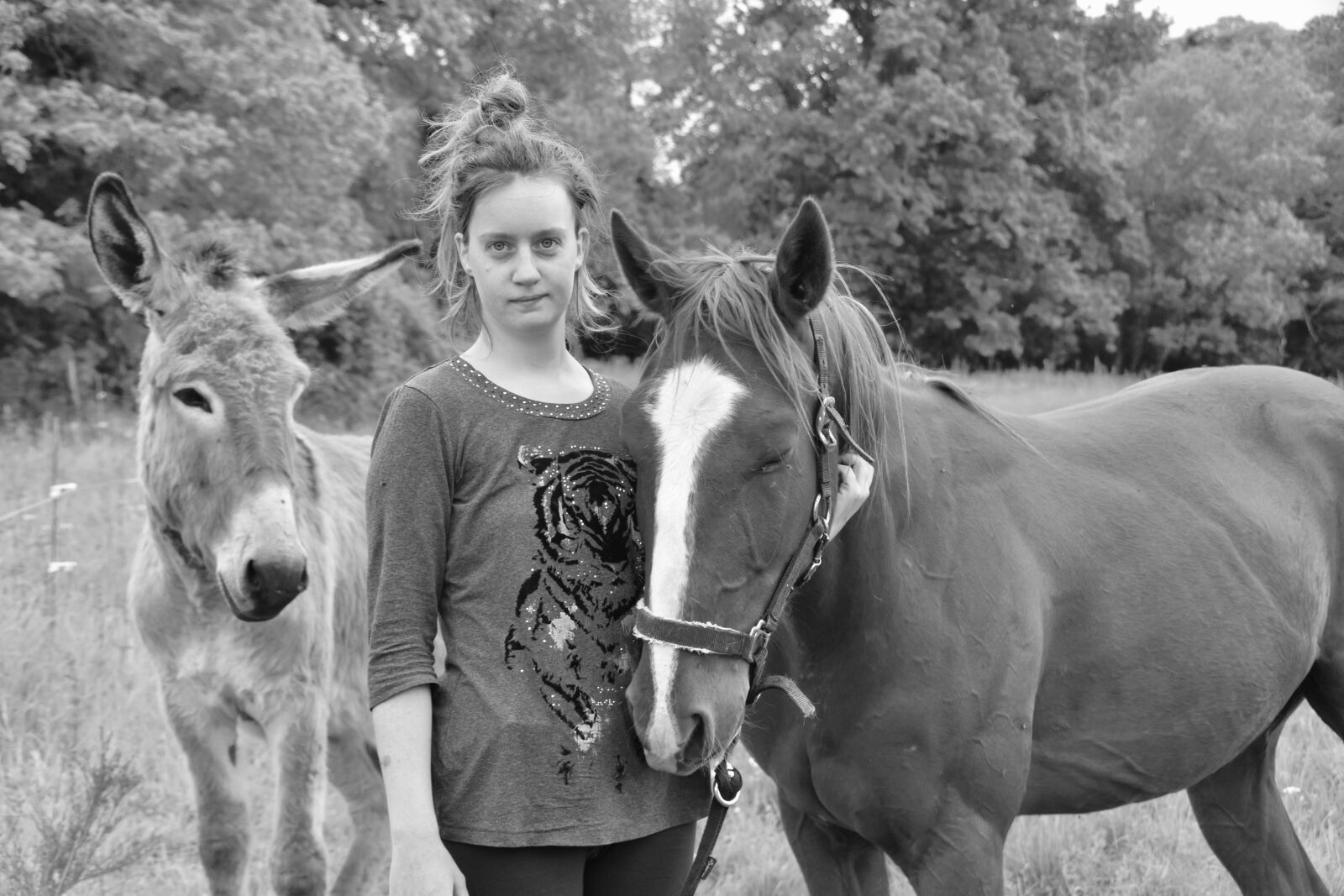 Nikon D5600 sample photo. Donkey horse girl, black photography