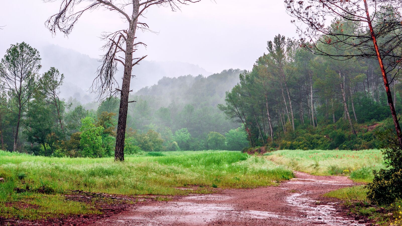 Sony a6000 sample photo. Path, trail, landscape photography