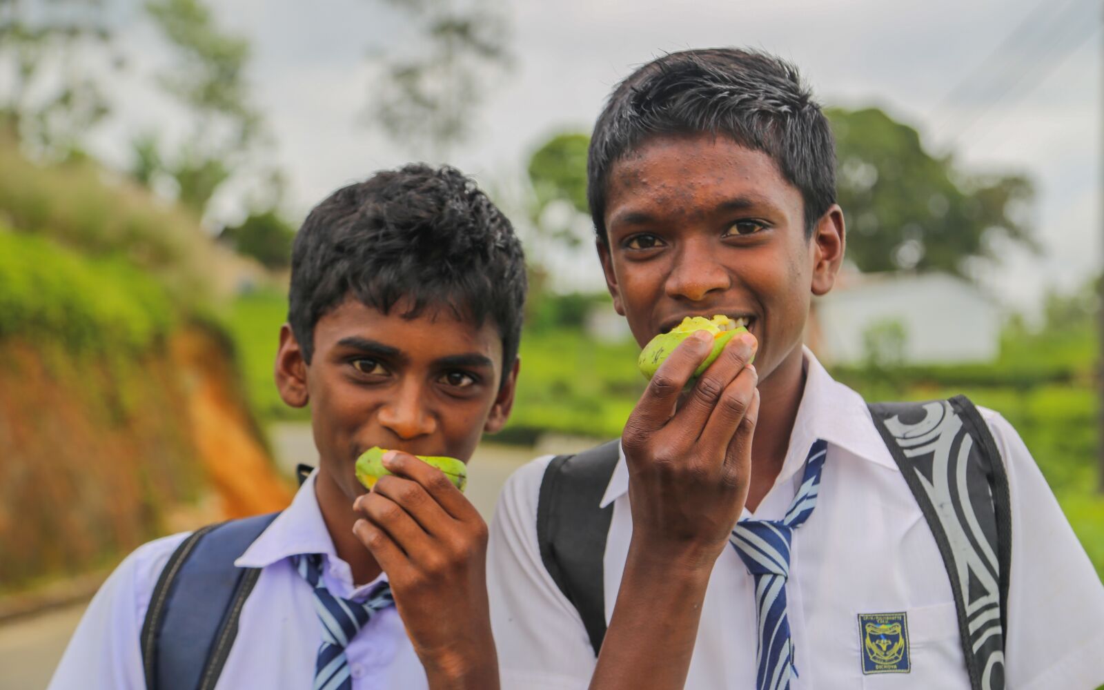 Canon EOS 6D + Canon EF 24-105mm F4L IS USM sample photo. Sri lanka, friends, ceylon photography