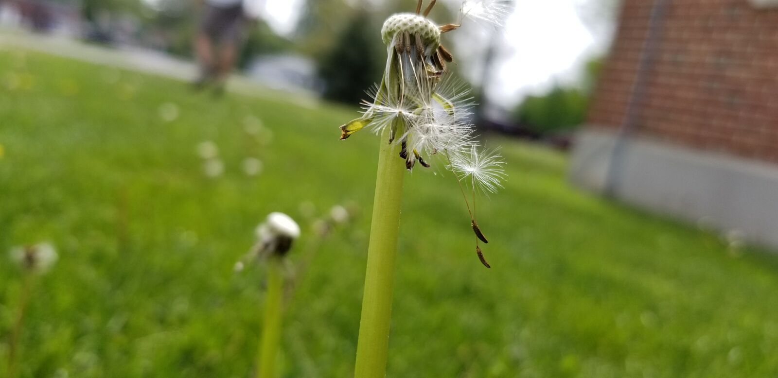 Samsung Galaxy S8 sample photo