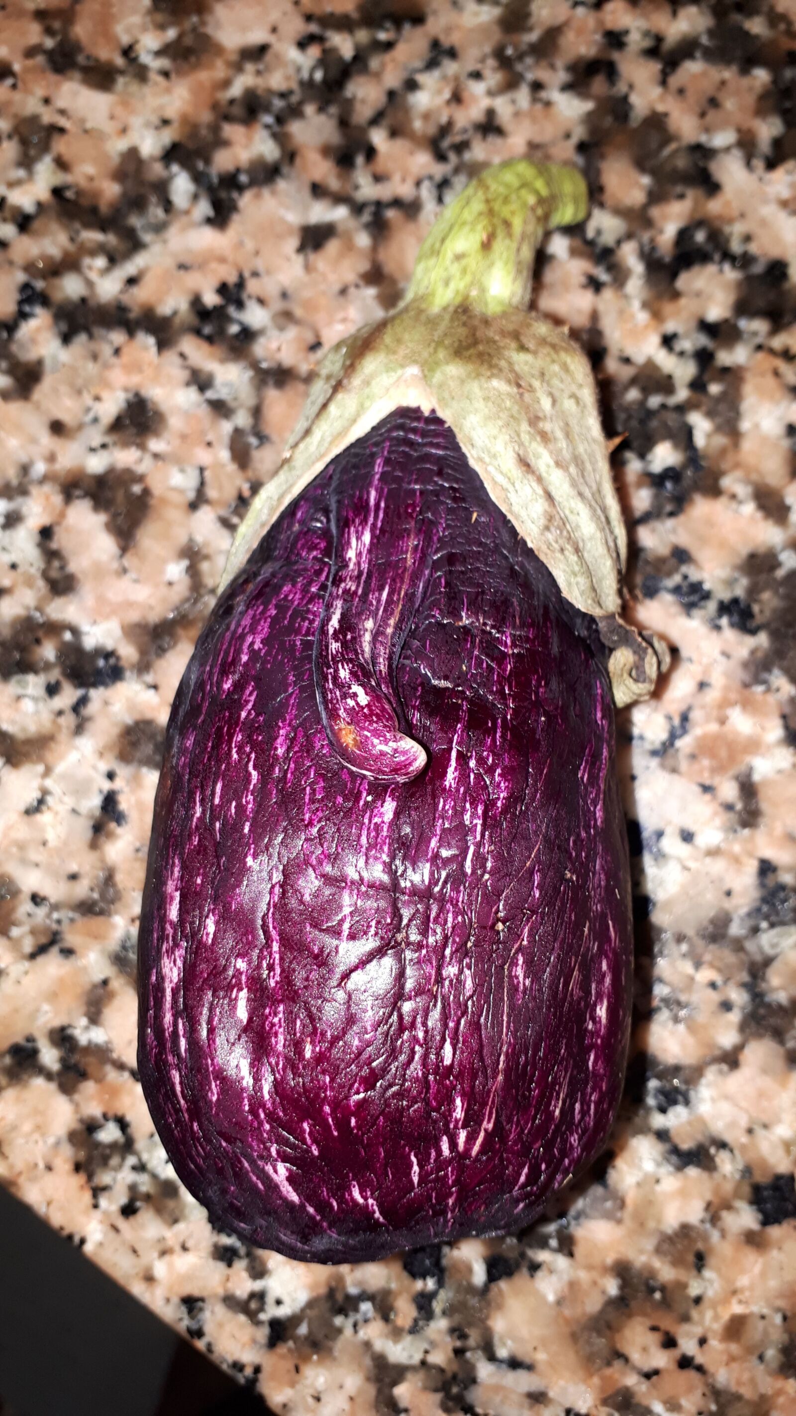 Samsung Galaxy A5(2017) sample photo. Eggplant, funny, cute photography