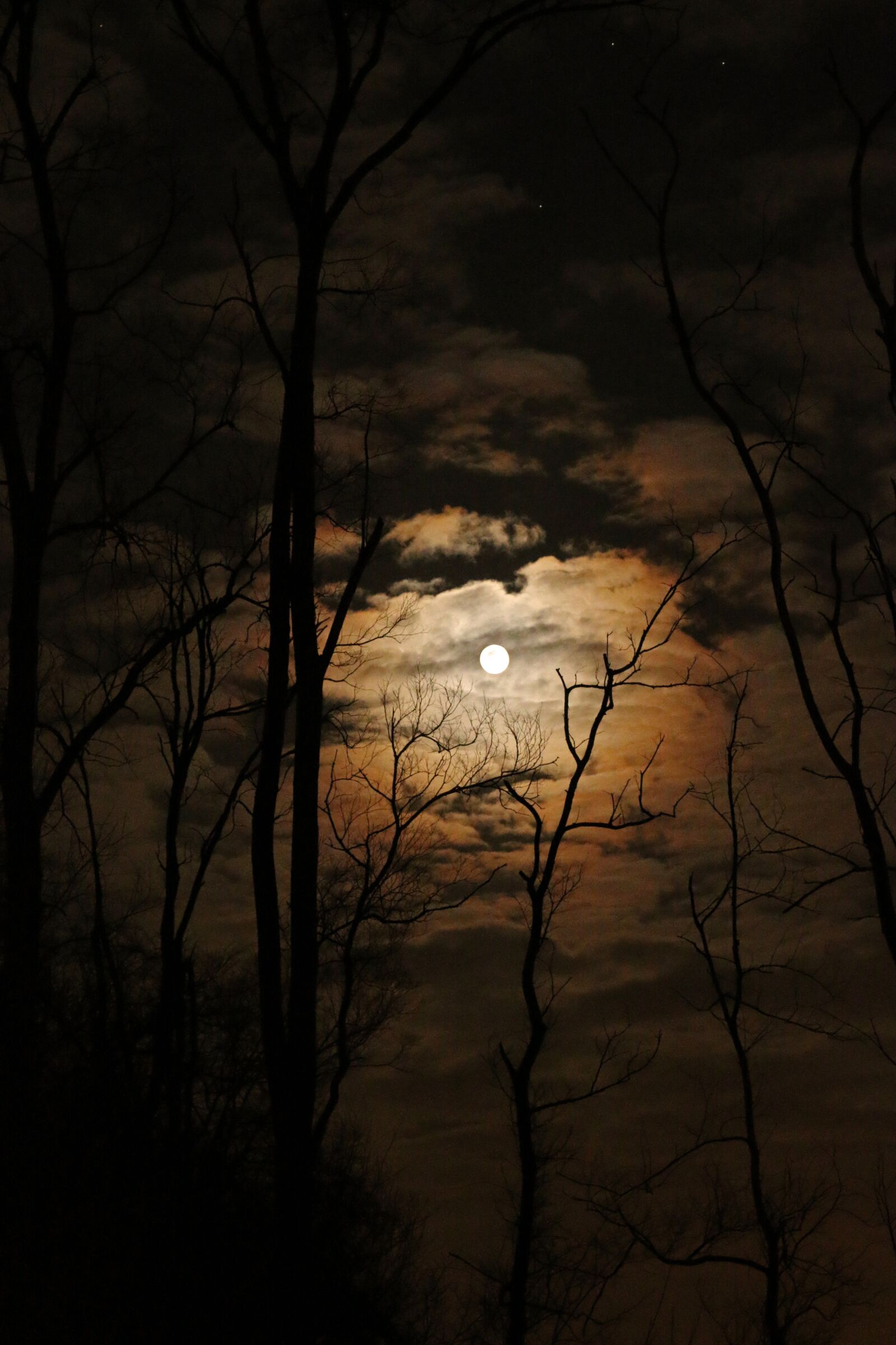Canon EOS 70D + Canon EF-S 18-55mm F3.5-5.6 IS STM sample photo. Full moon, dark, spooky photography