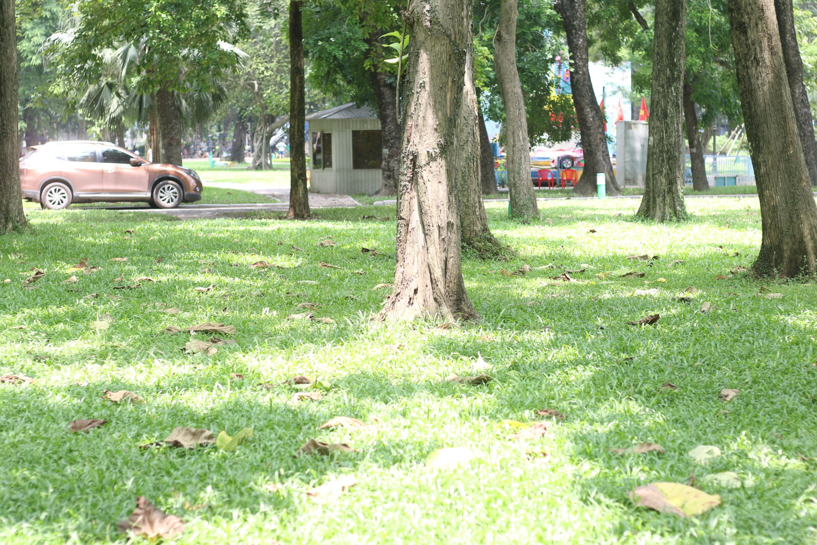 Canon EF 50mm F1.8 STM sample photo