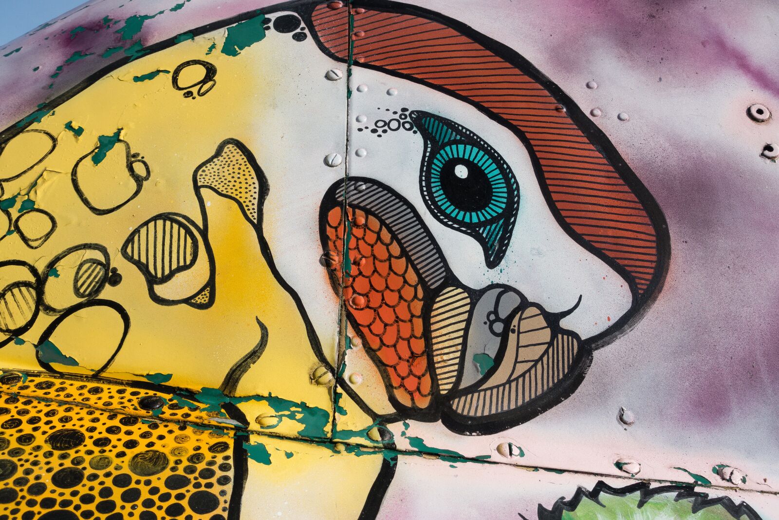 Sony Cyber-shot DSC-RX100 III sample photo. Parrot, graffiti, helicopter photography