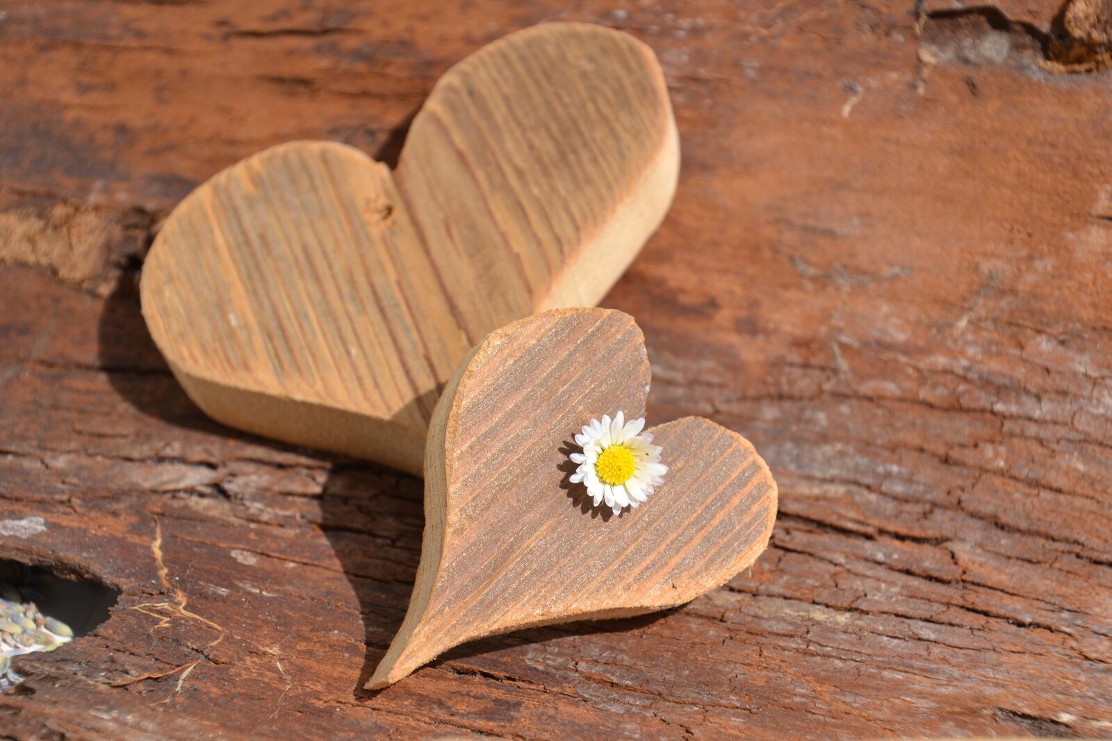 Nikon D3100 sample photo. Love, mother's day, heart photography