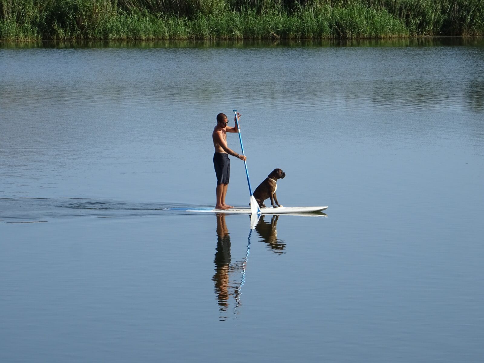 Sony DSC-HX60V sample photo. Rio paddle surf, river photography