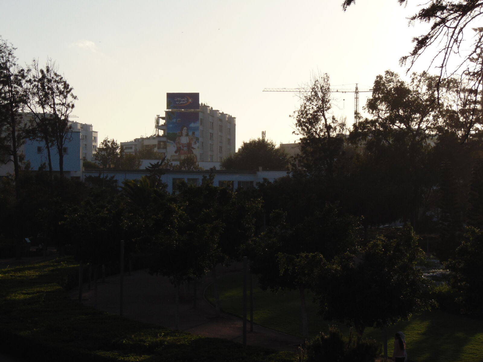 Sony Cyber-shot DSC-H300 sample photo