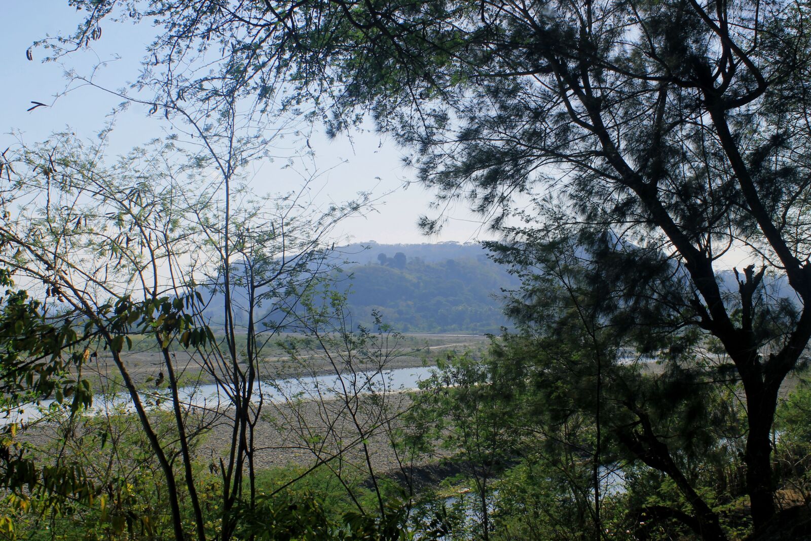 Canon EOS 1100D (EOS Rebel T3 / EOS Kiss X50) sample photo. The tree, wood, nature photography