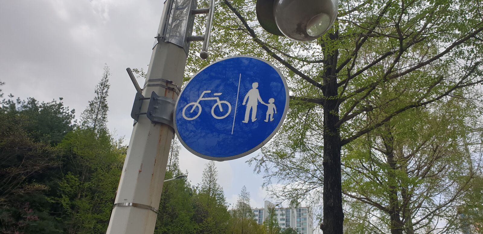 Samsung Galaxy Note9 sample photo. School zone, bicycle, warning photography