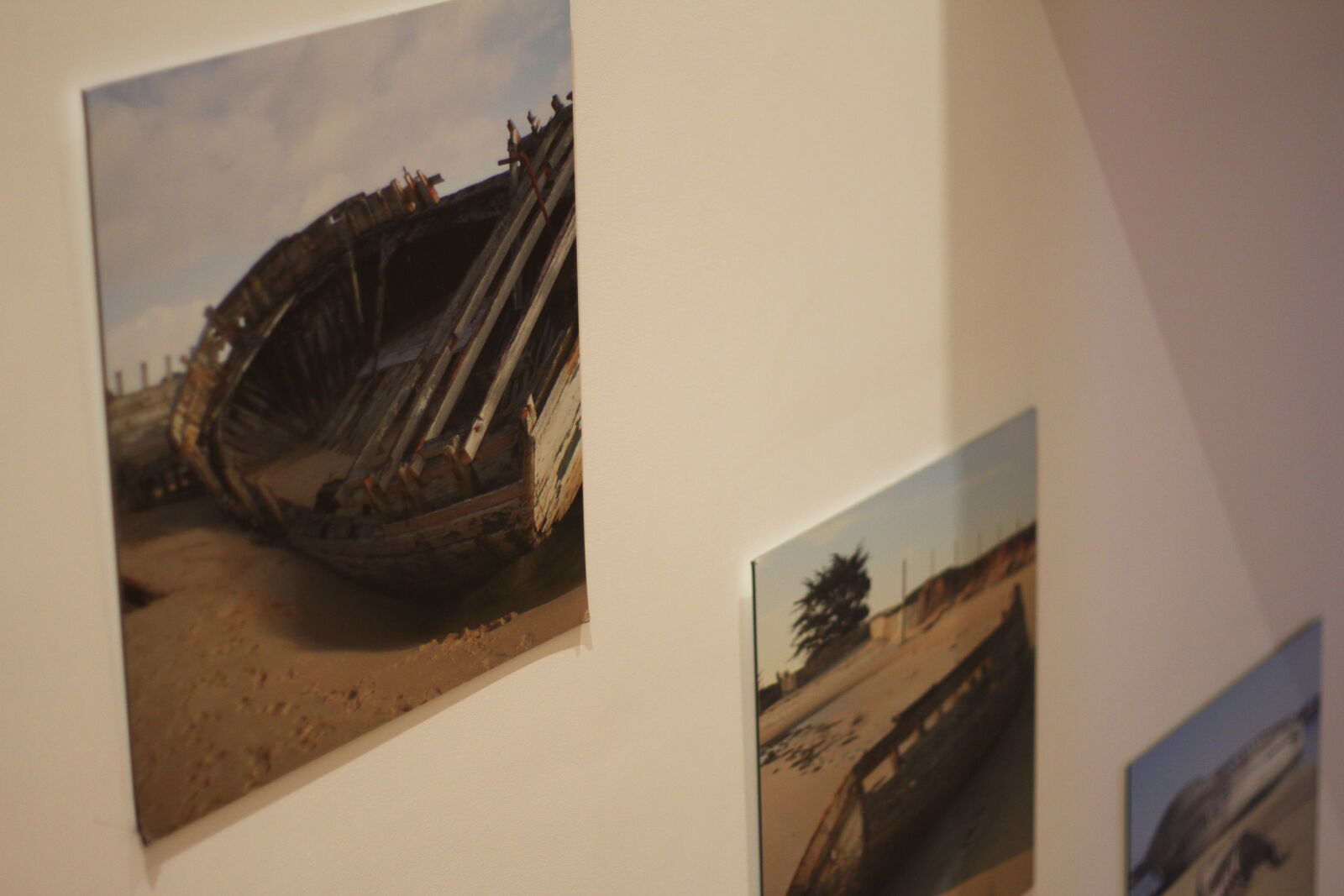 Canon EOS 7D + Canon EF 50mm F1.8 II sample photo