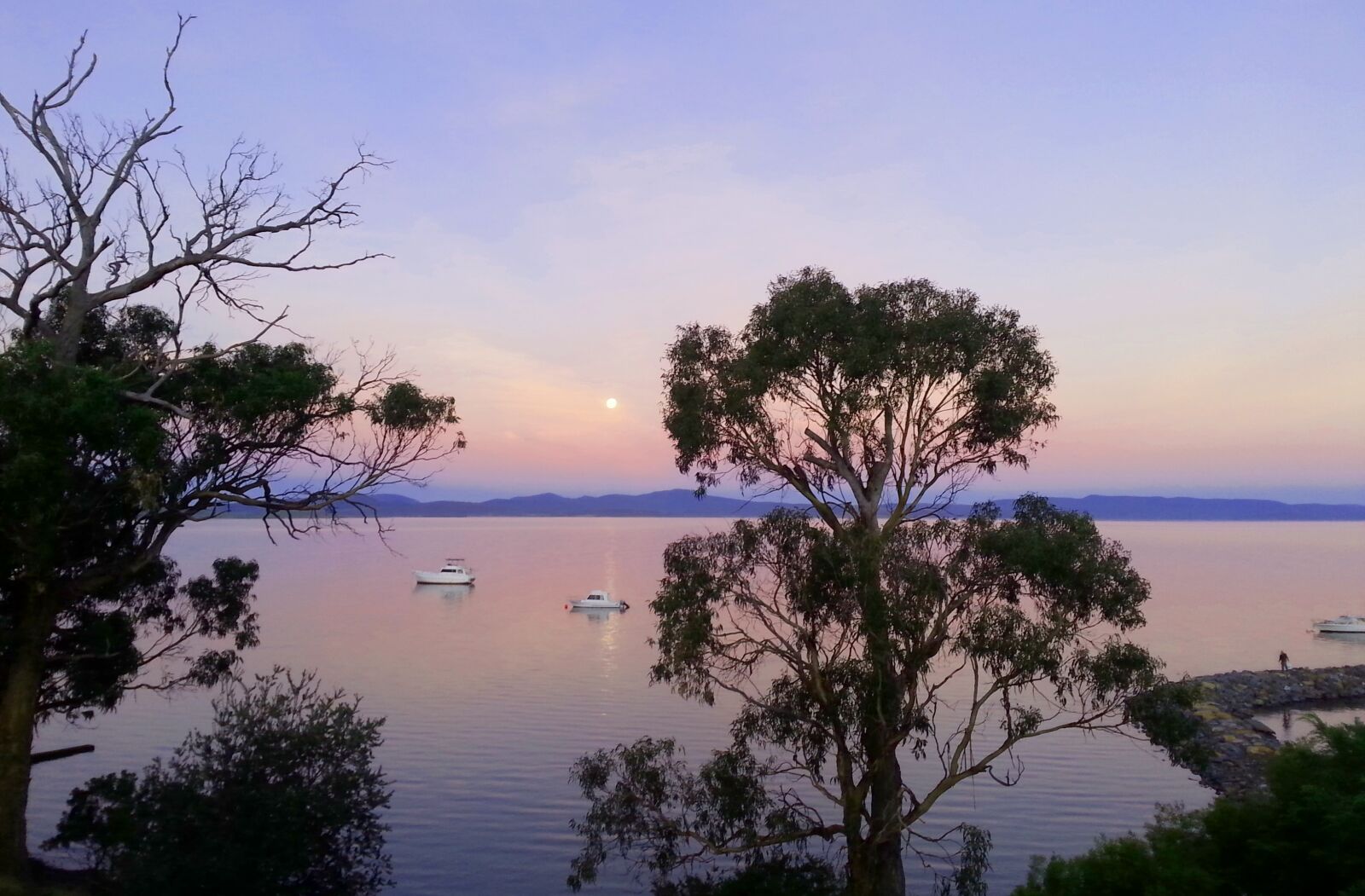Samsung Galaxy S3 sample photo. Australia, gumtrees, boats photography