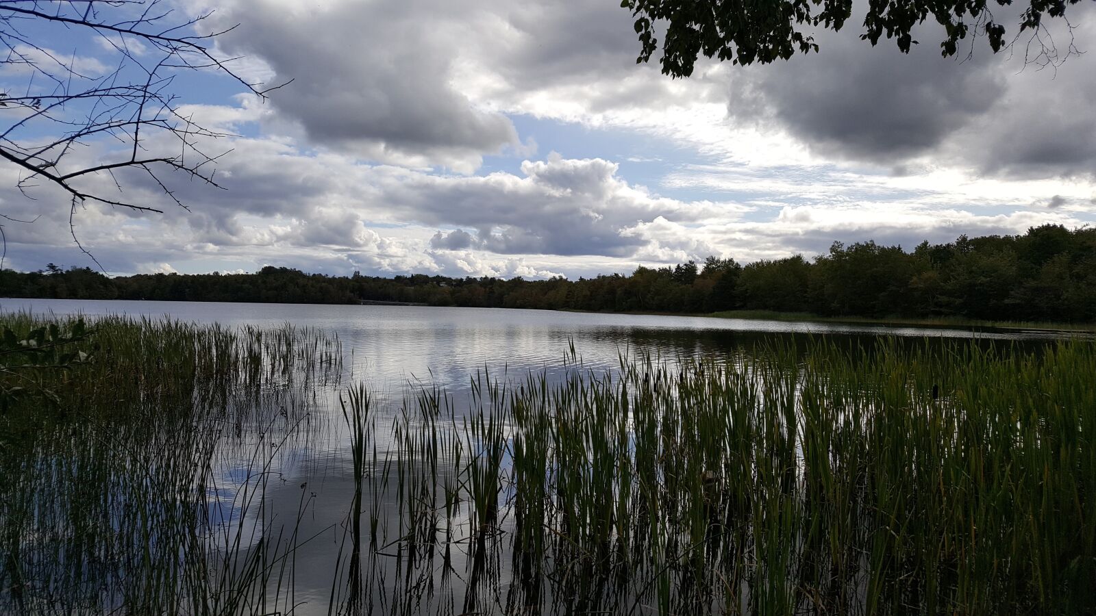 Samsung Galaxy S6 sample photo. Lake, grass, trees photography
