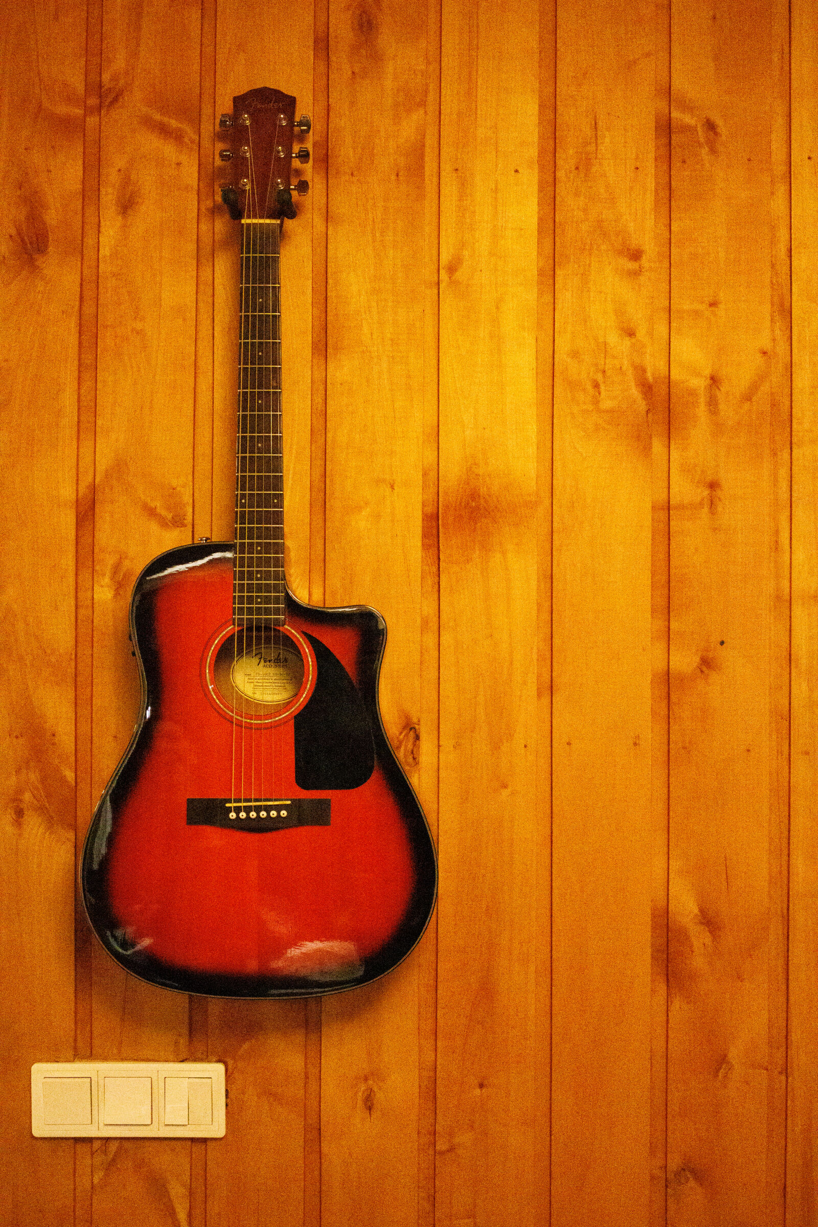 Canon RF-S 18-45mm F4.5-6.3 IS STM sample photo. High iso guitar photography