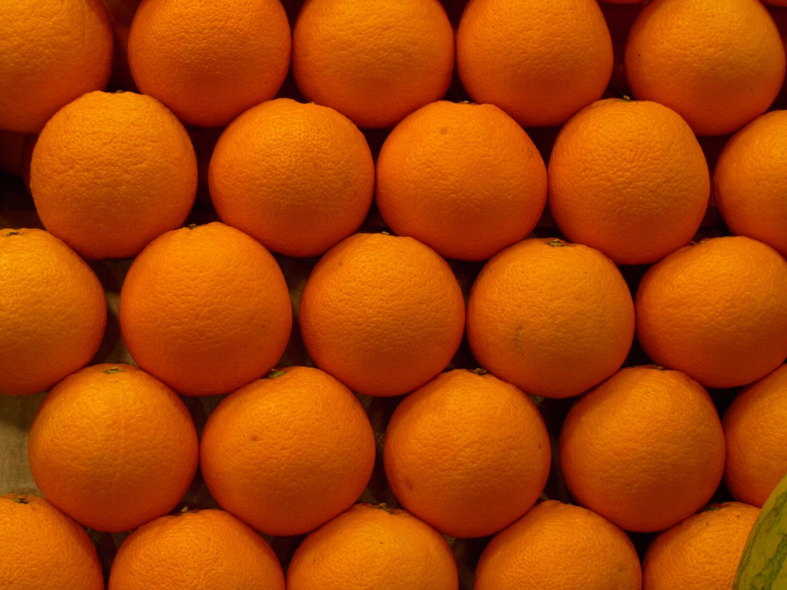 Leica Digilux 3 sample photo. Oranges, orange, tangerine photography