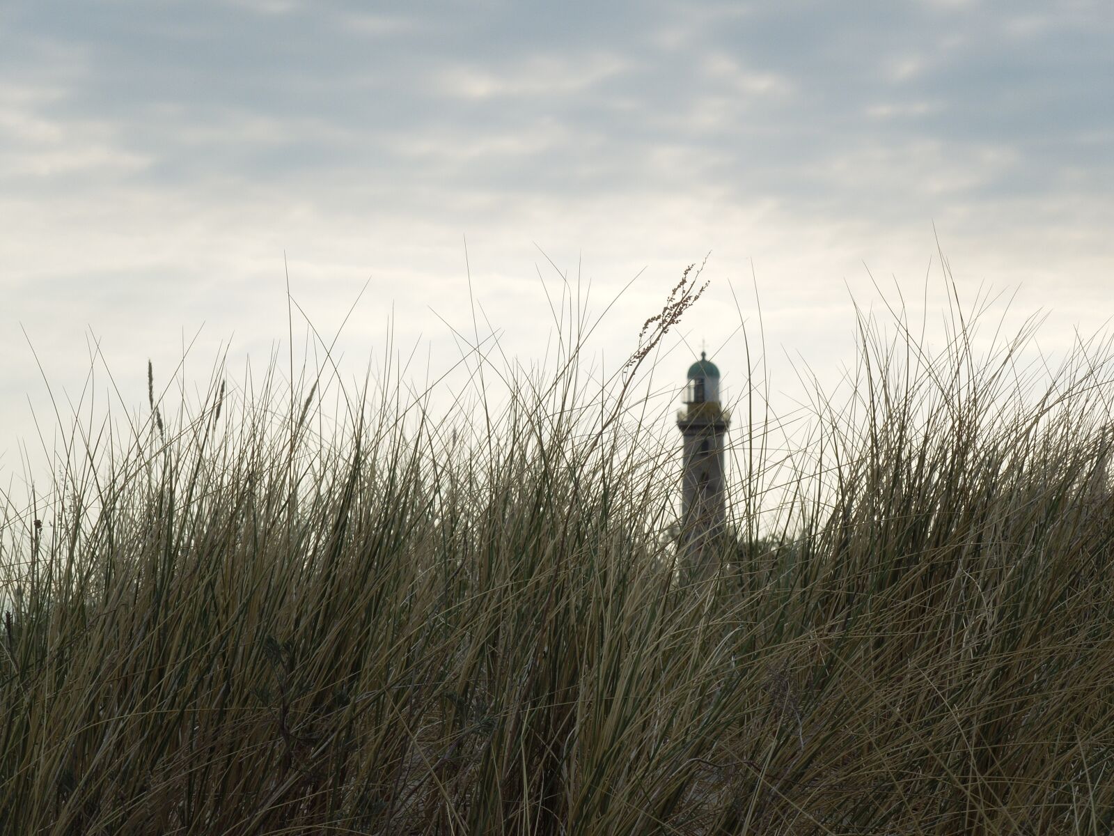 Nikon Coolpix S8200 sample photo. Dune, beach, baltic sea photography