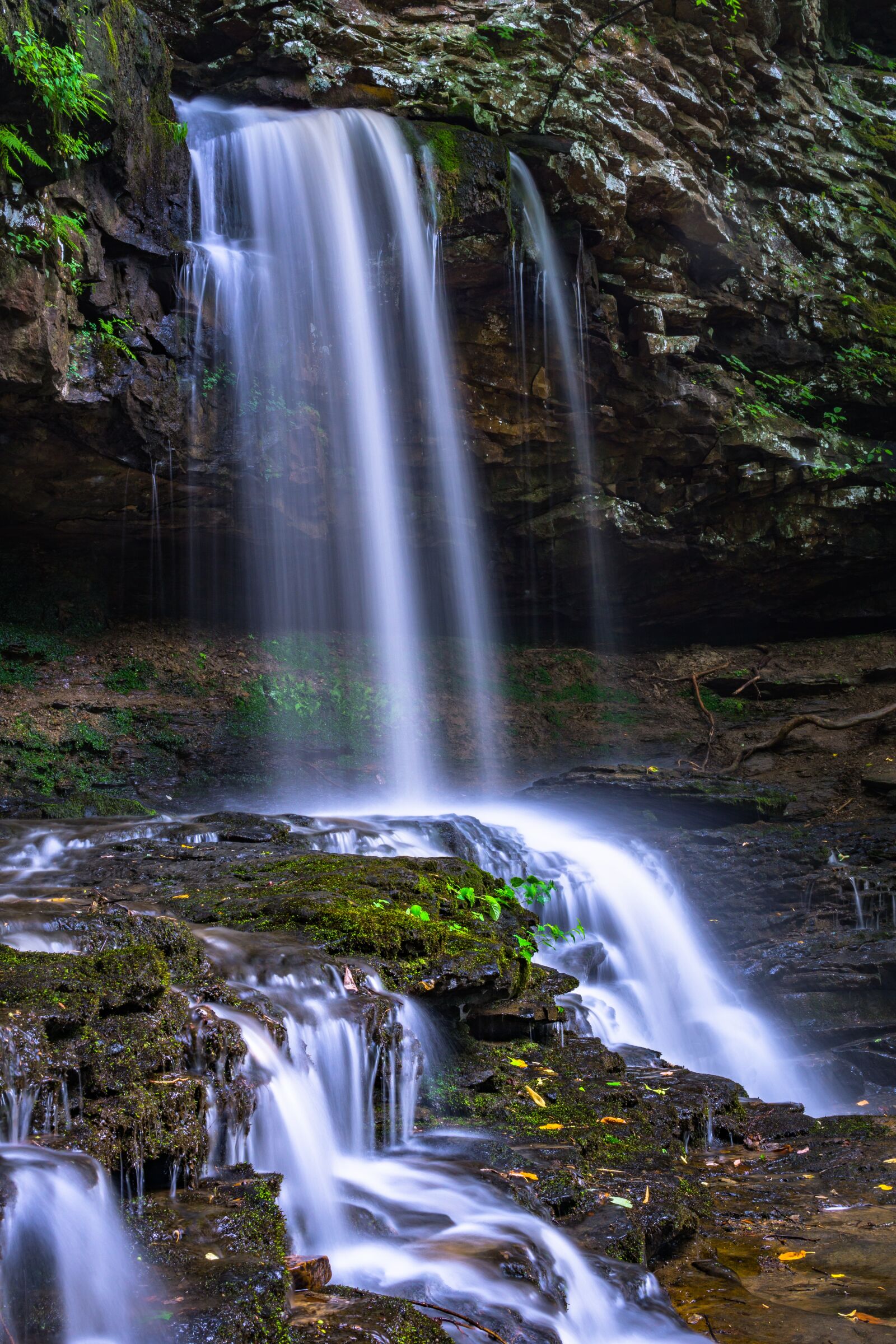 30mm F1.4 DC DN | Contemporary 016 sample photo. Cascade, falls, green photography