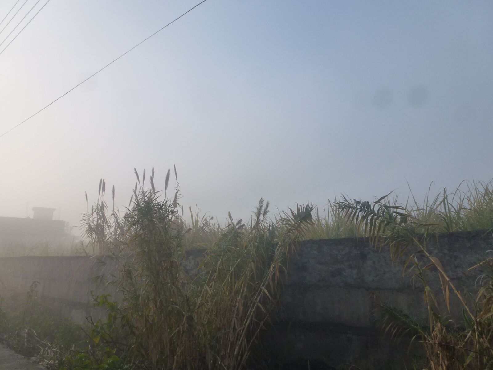 Panasonic Lumix DMC-ZS10 (Lumix DMC-TZ20 / Lumix DMC-TZ22) sample photo. Fog, nature, beauty photography