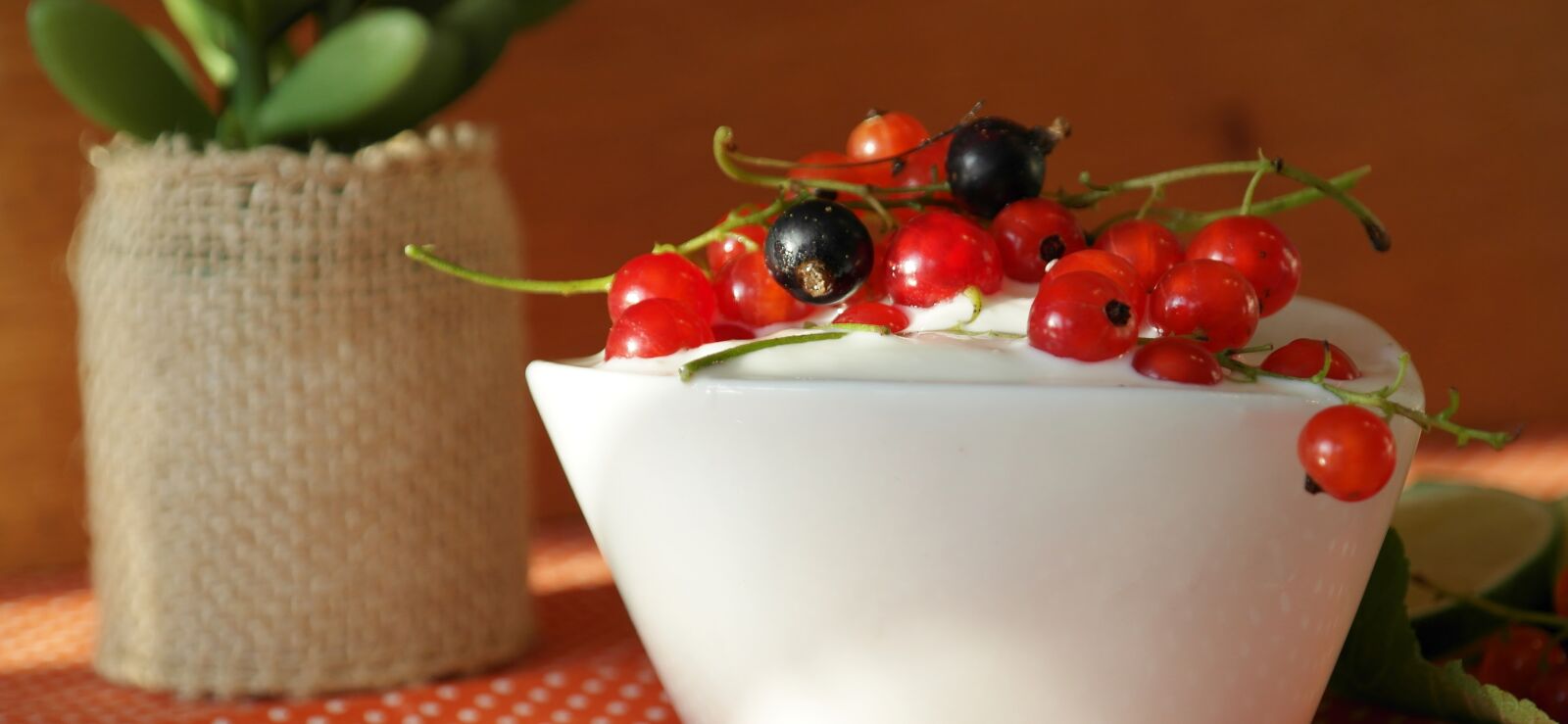 Samsung NX20 sample photo. Currants, berries, fruit photography