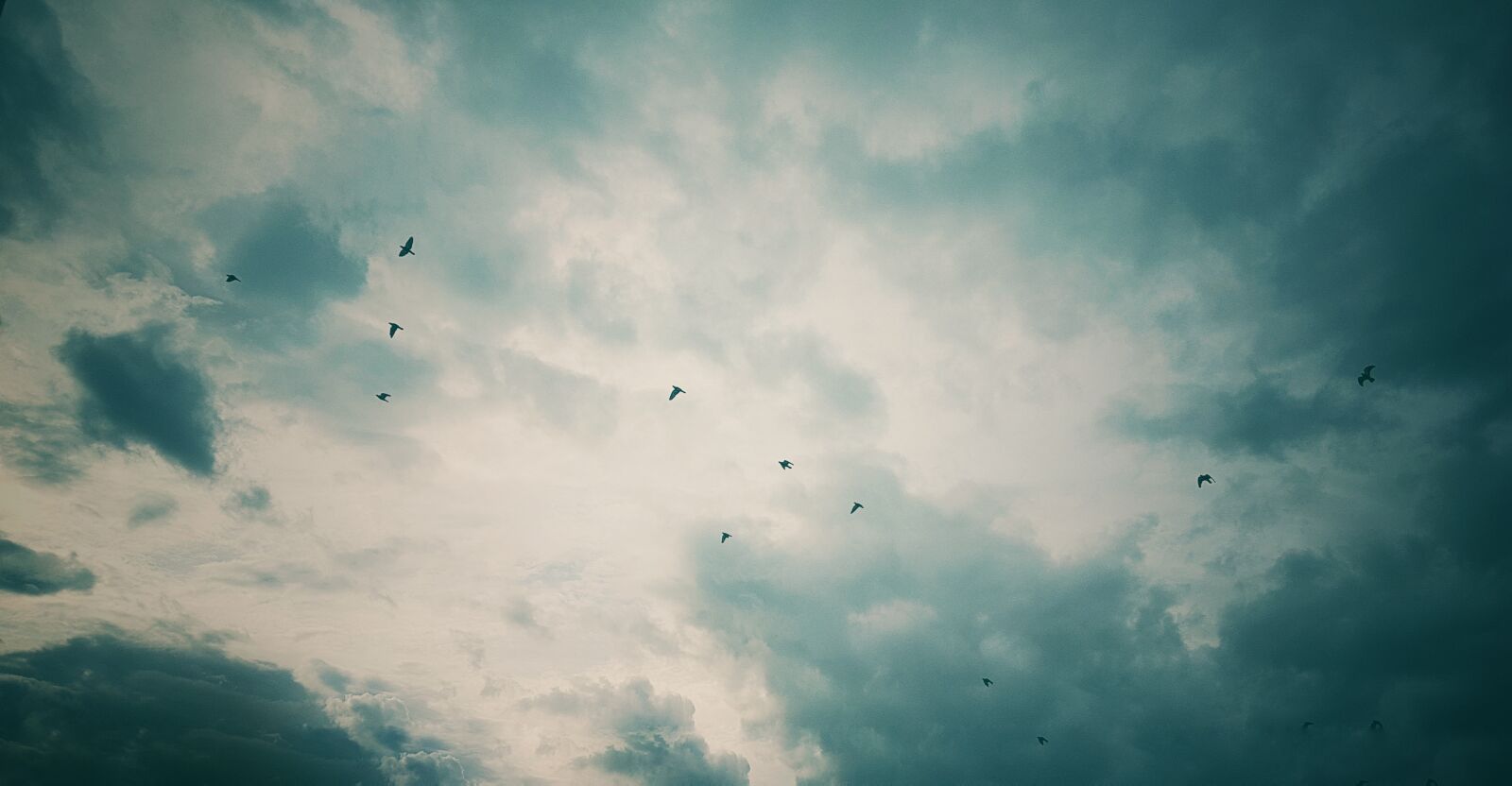 Samsung Galaxy S7 Edge sample photo. Clouds, sunset, birds photography