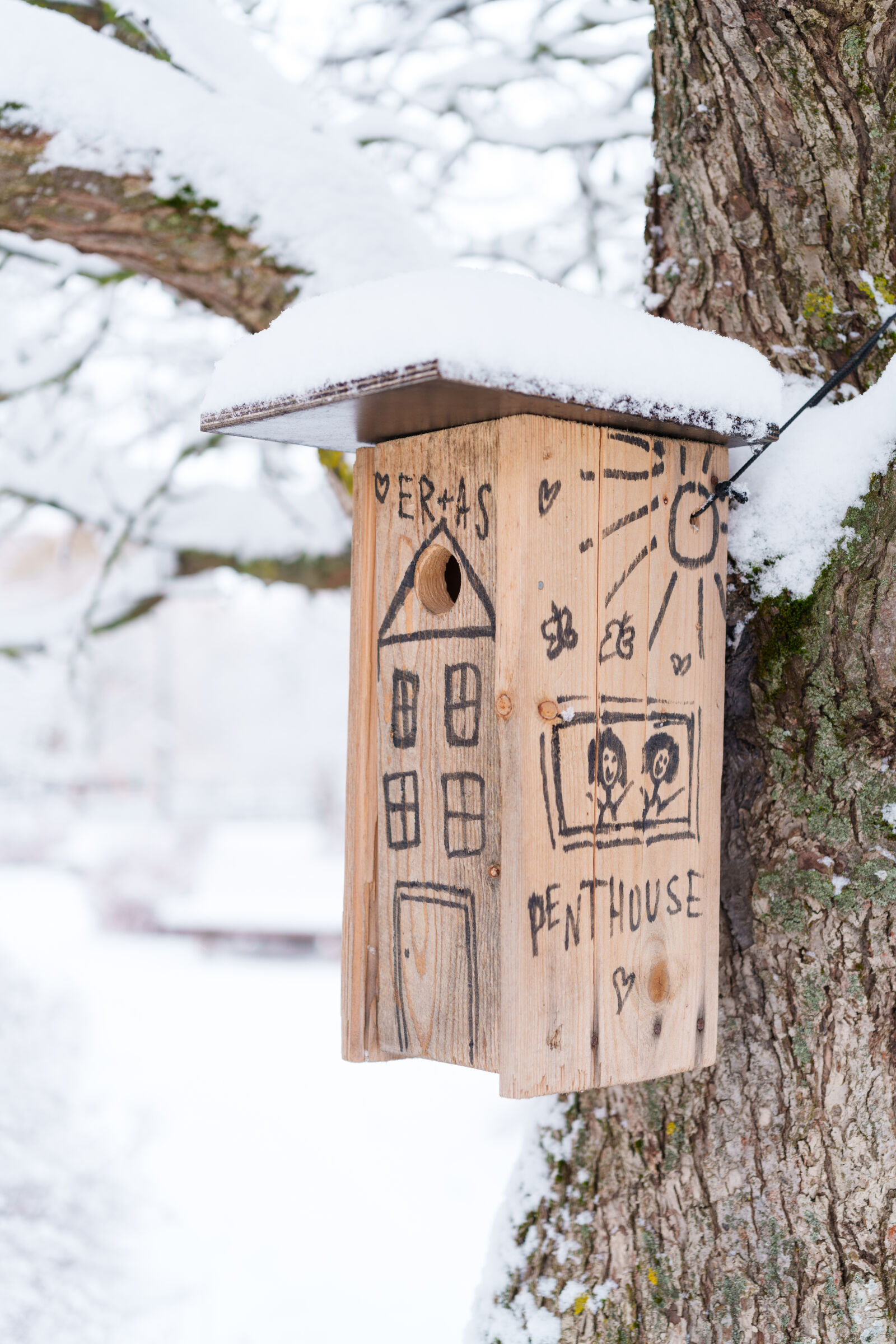 Sony a7R V sample photo. Birdhouse snow photography