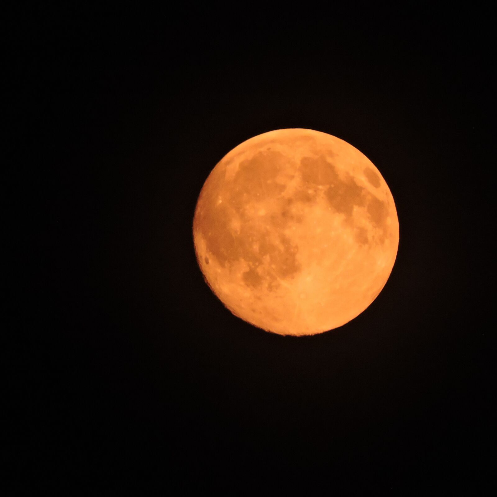 Nikon Coolpix P600 sample photo. Full moon, night, moon photography