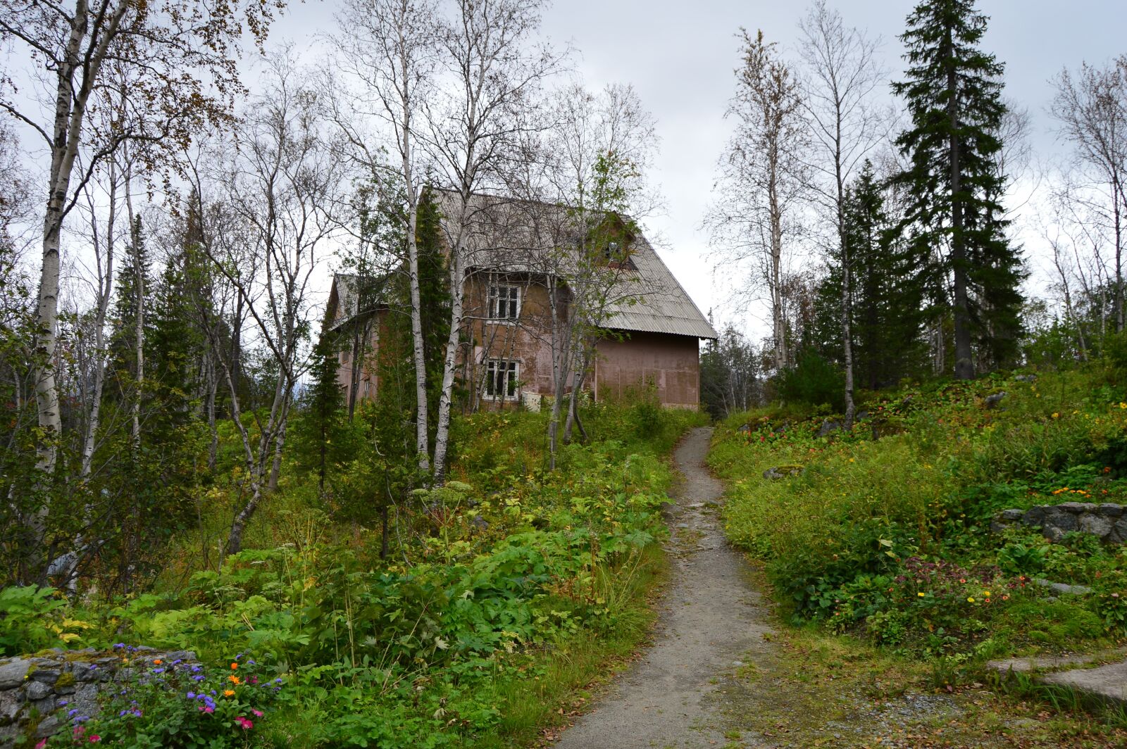 Nikon D3200 sample photo. Kirovsk, botanical garden, lonely photography