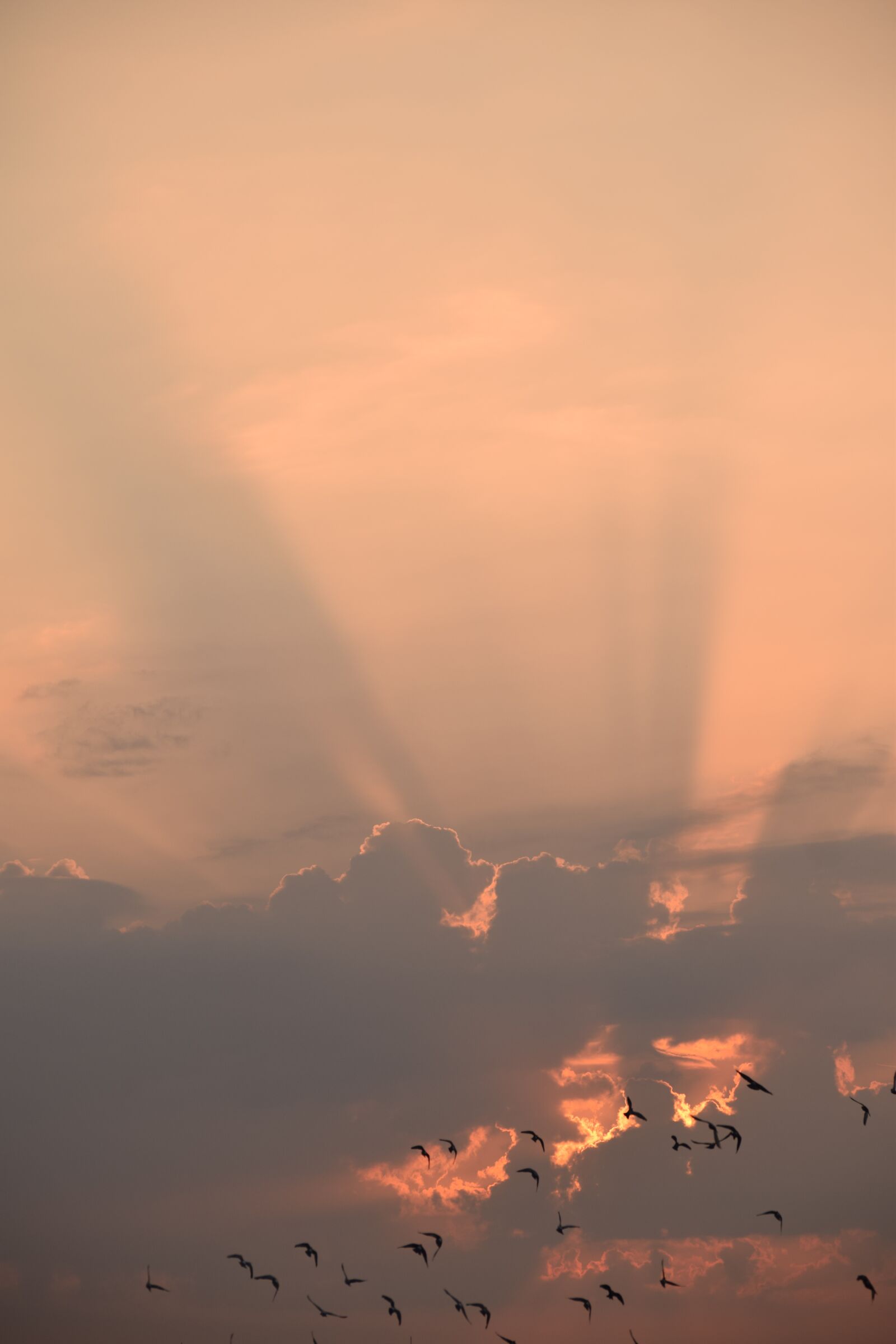 Nikon D3300 sample photo. Cloud, sunshine, sky photography