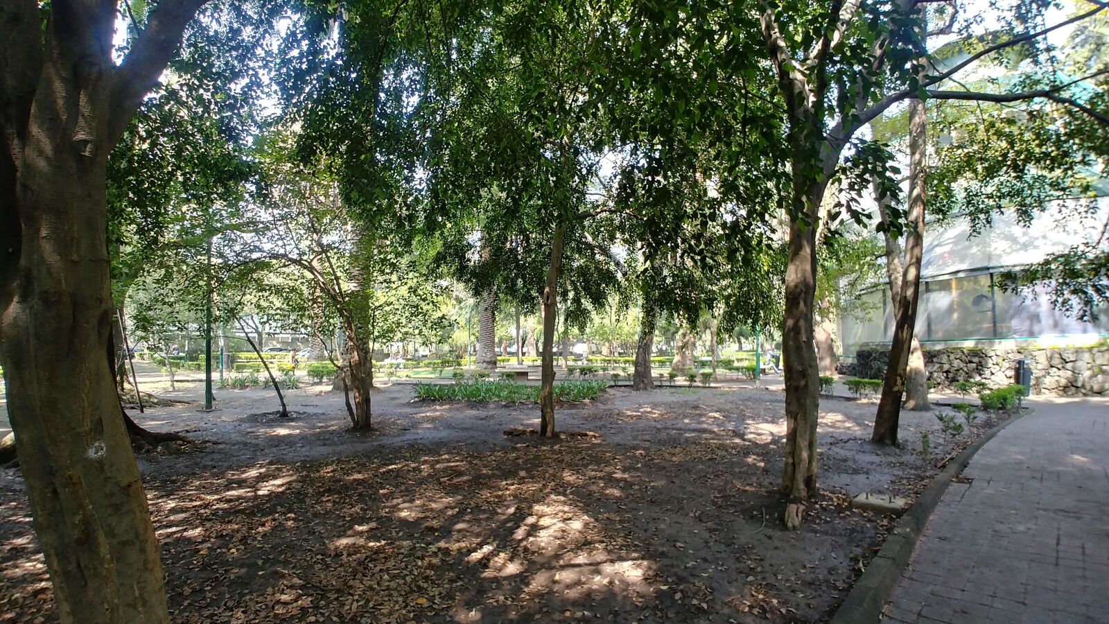 LG G6 sample photo. Park, source, garden photography