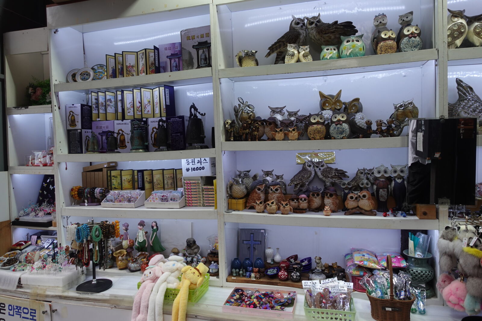 Sony ZV-1 sample photo