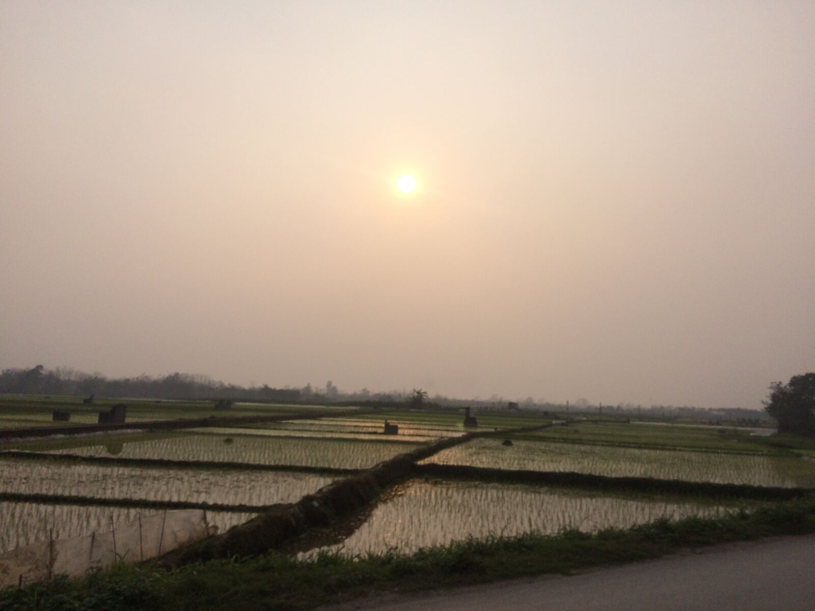iPhone 5s back camera 4.15mm f/2.2 sample photo. Country, sunset, nature photography