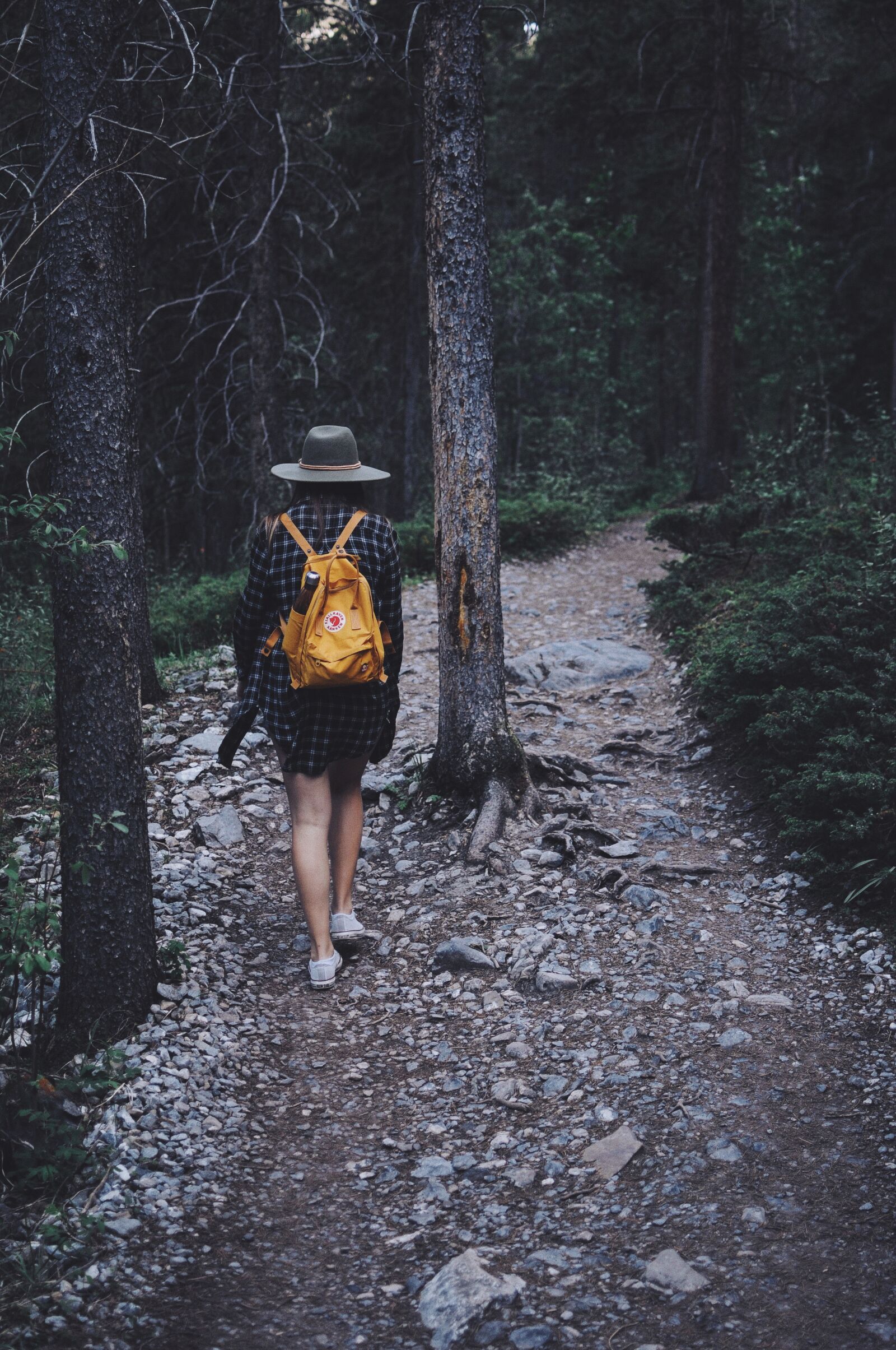 Nikon D300 sample photo. Forest, outdoors, path photography
