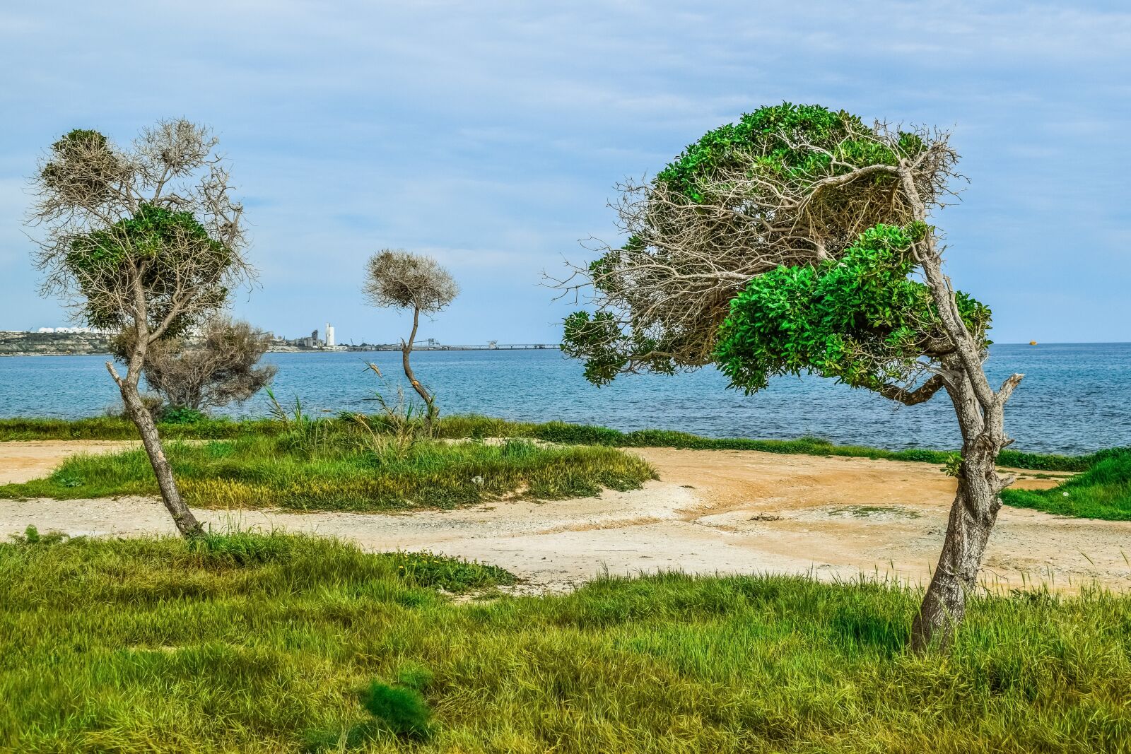 Nikon D3300 sample photo. Nature, landscape, trees photography
