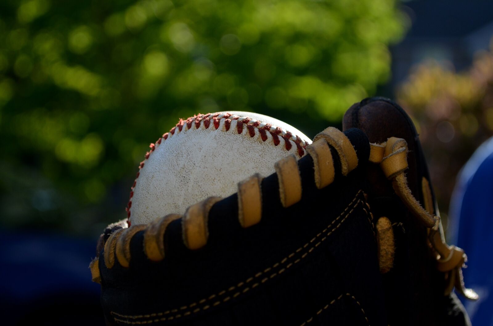 Nikon D5100 sample photo. Ball, glove, baseball photography