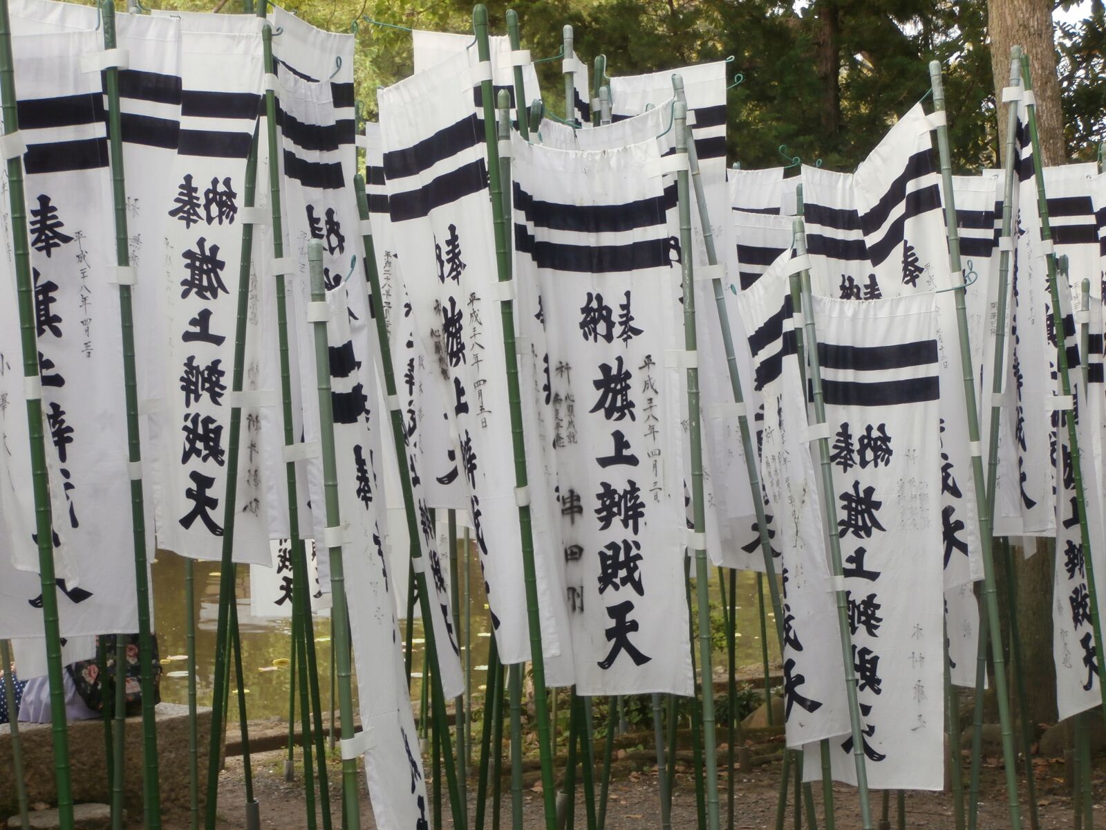 Olympus VR350,D755 sample photo. Kamakura, jinja, flags photography