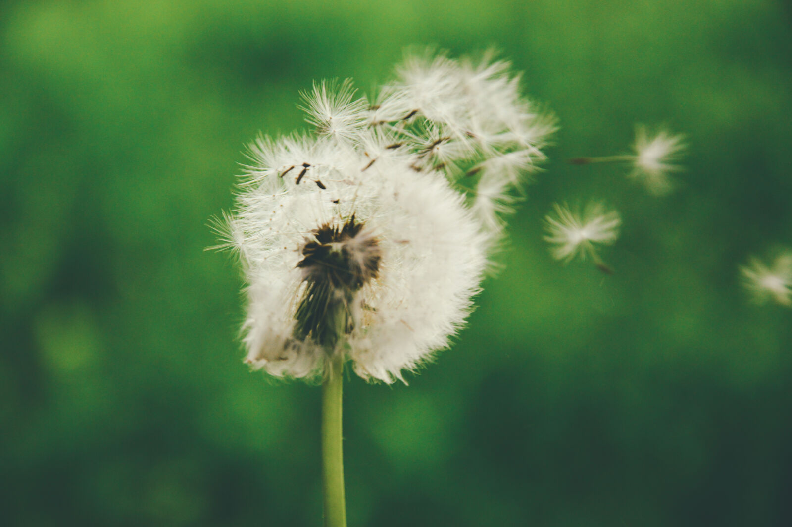 Nikon D3200 sample photo. Shallow, focus, photography, of photography