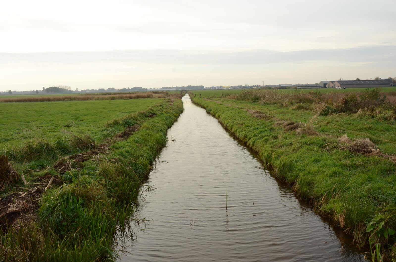 Nikon D7000 sample photo. Ditch, nature reserve, the photography