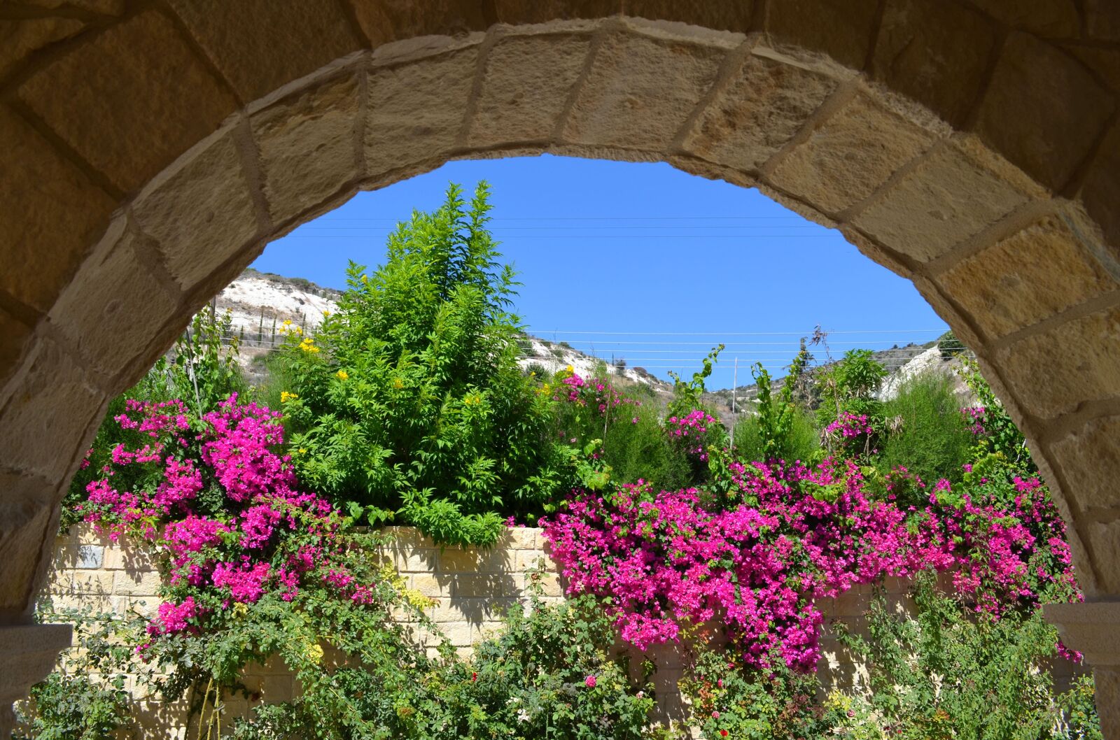 Nikon D5100 sample photo. Stone, wall, flowers photography