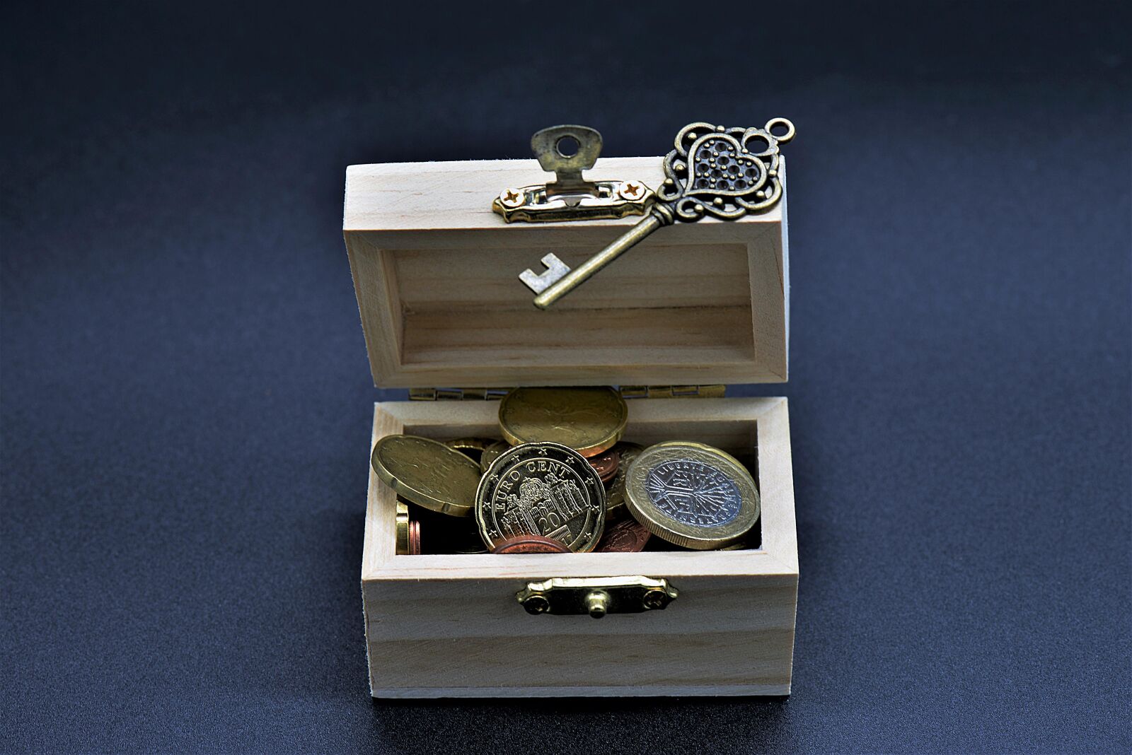 Nikon D610 sample photo. Coins, money, box photography