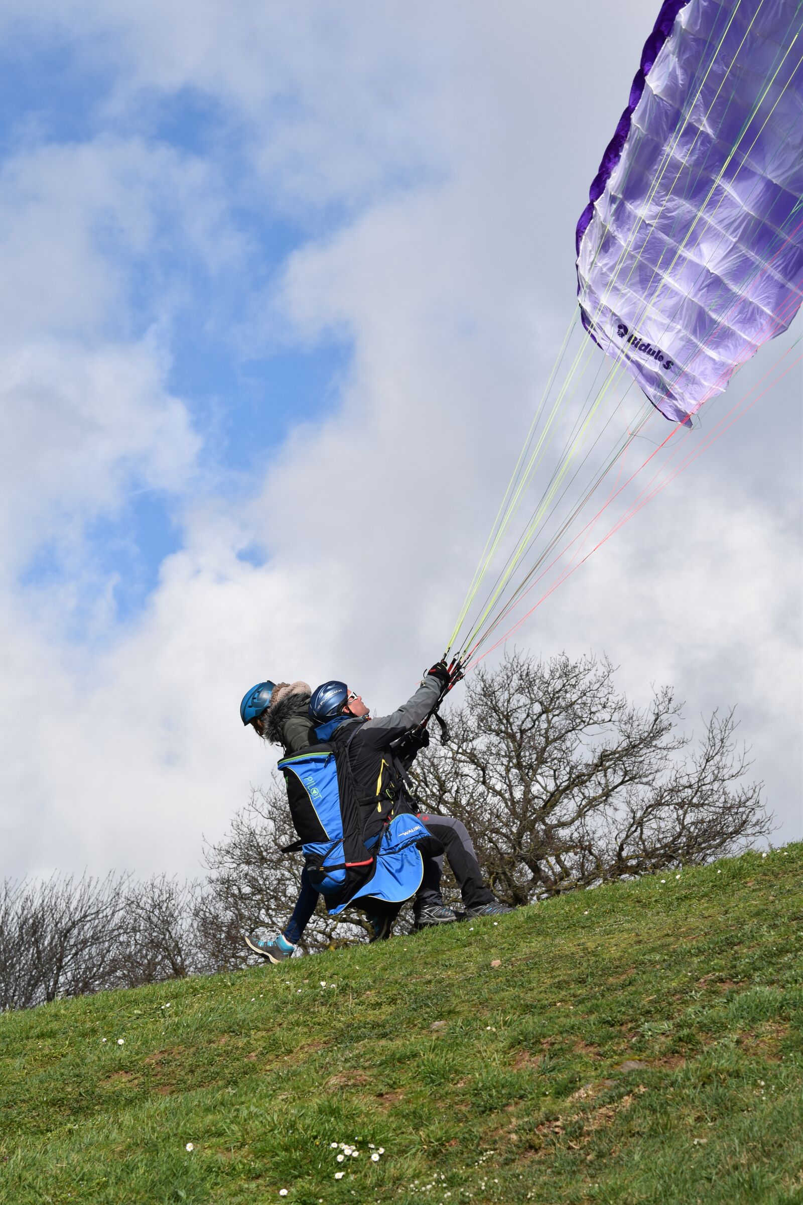 Nikon D5600 sample photo. Paragliding, paragliders, preparation wing photography
