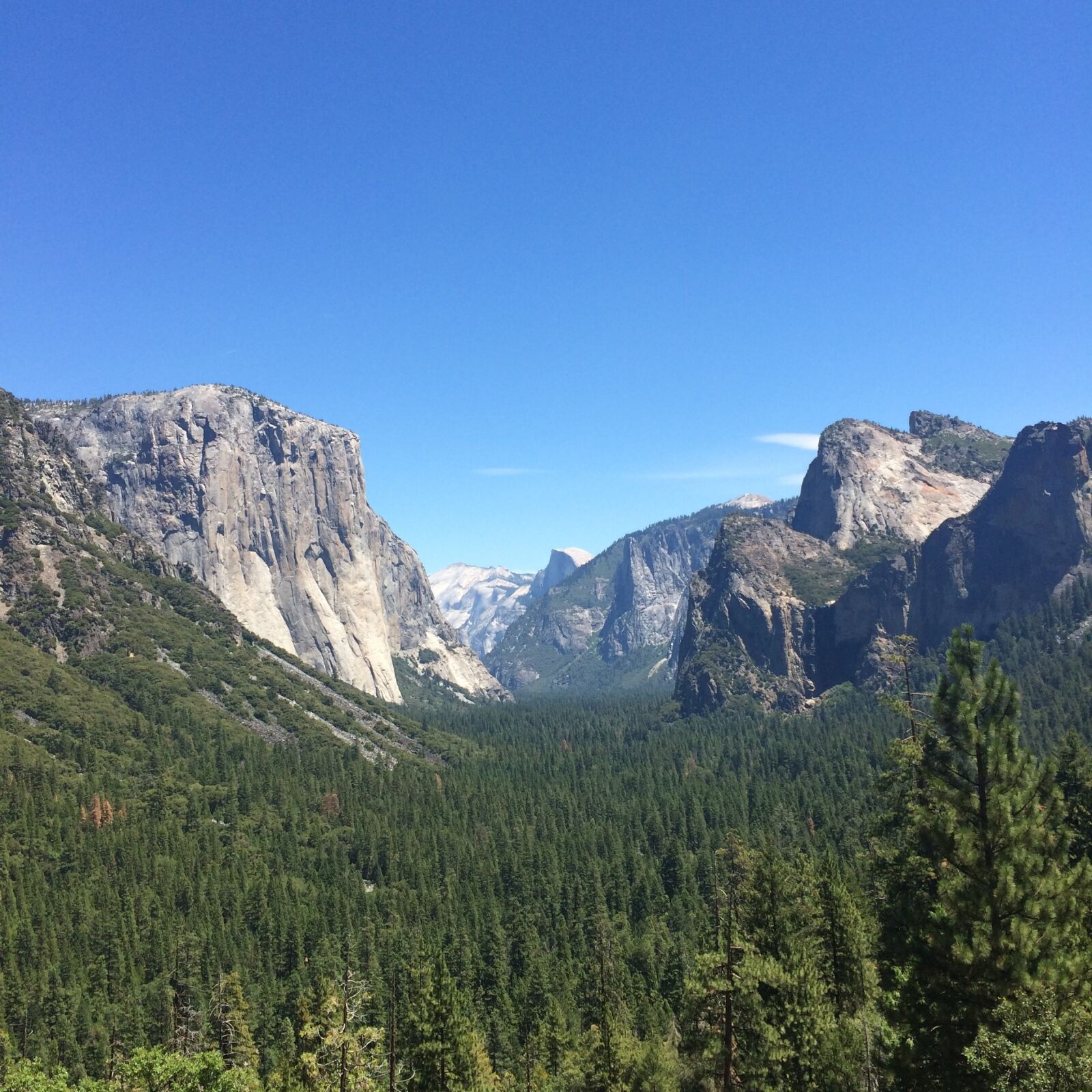 Apple iPhone 5s sample photo. California, iphone, photographer, yosemite photography