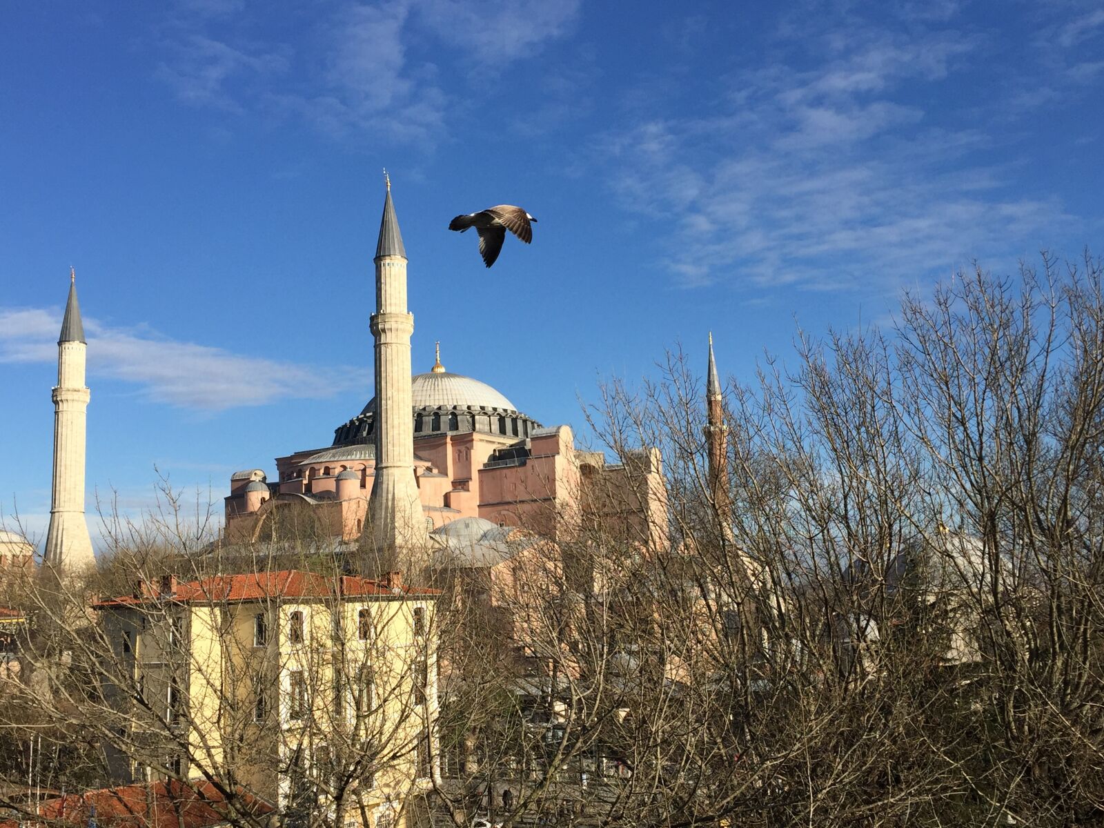 Apple iPhone 6 sample photo. Hagia sophia, istanbul, sultanahmet photography
