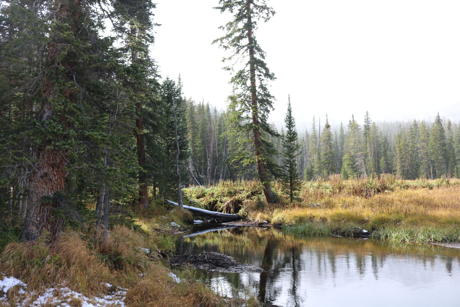 Canon EOS 750D (EOS Rebel T6i / EOS Kiss X8i) sample photo. Lake, water, nature photography