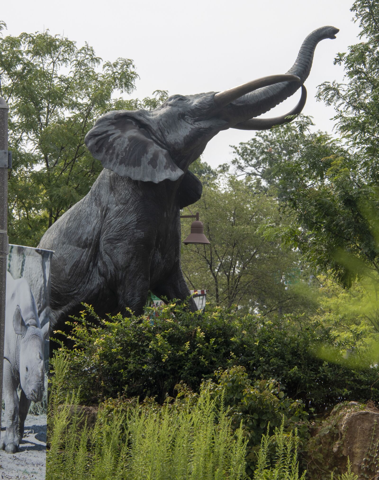 Nikon D850 sample photo. Elephant, animal, statue photography