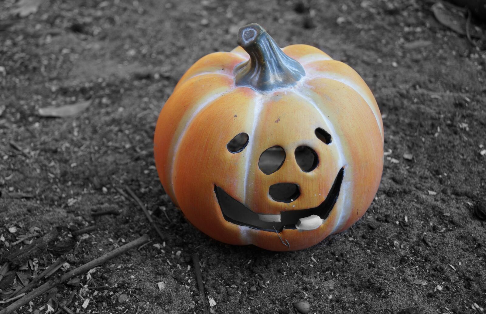 Sony SLT-A58 sample photo. Halloween, autumn, pumpkin photography