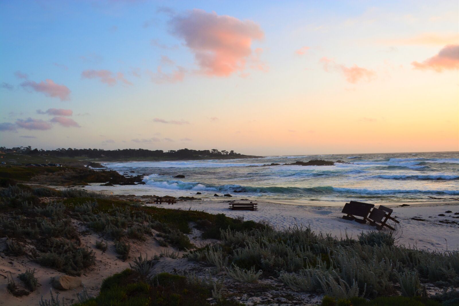 Nikon D5200 sample photo. Pacific, grove, beach photography
