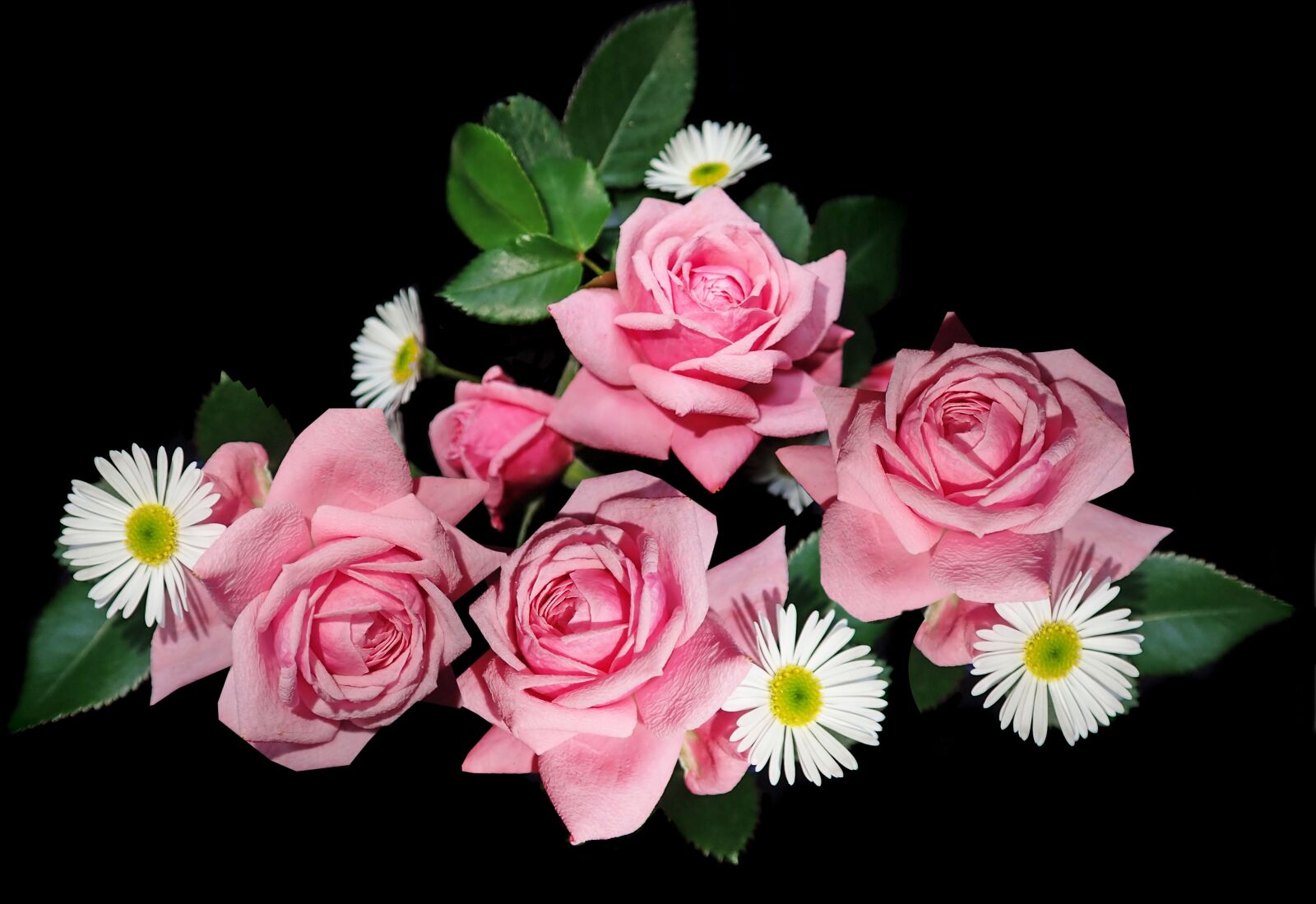 Olympus TG-5 sample photo. Roses, daisies, arrangement photography